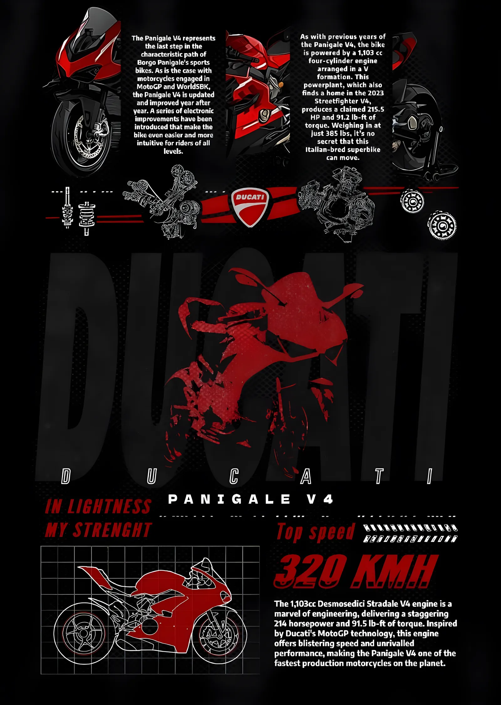 Ducati Panigale V4 - Teknik Pano metal tablo