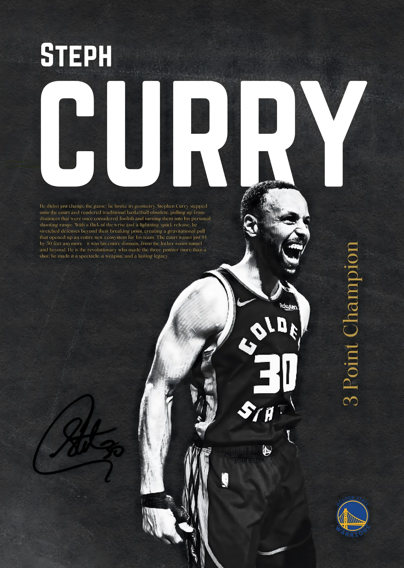 Steph Curry: 3 Point Champion metal tablo