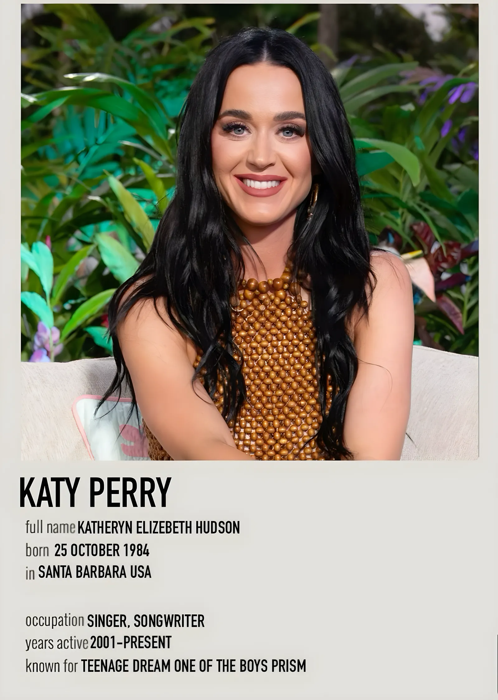 Katy Perry Polaroid metal tablo