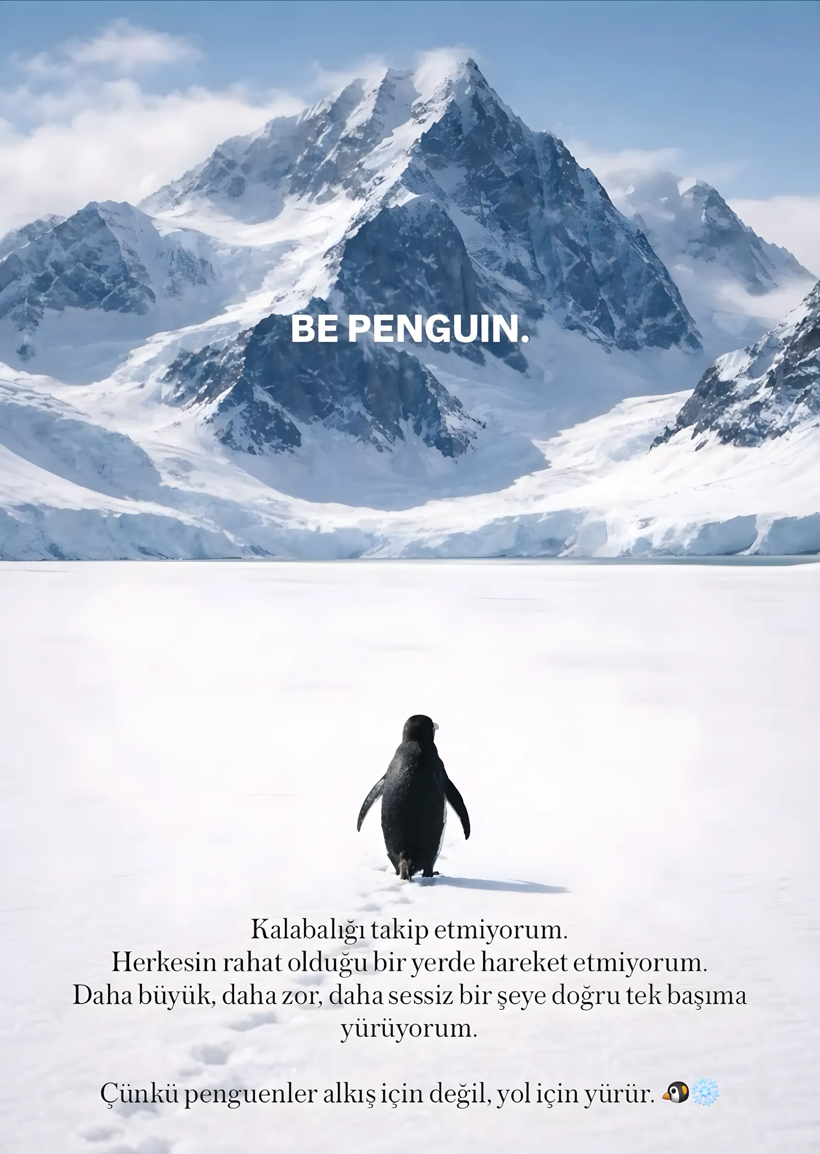 Be Penguin: Kutsal Yolculuk metal tablo