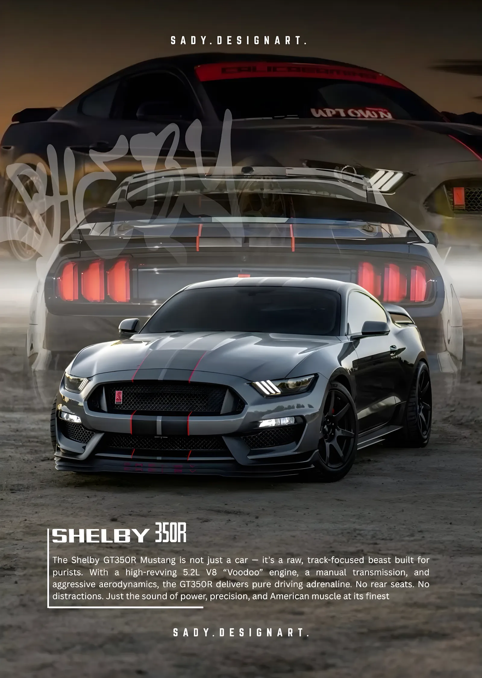 Ford Mustang Shelby GT350R metal tablo