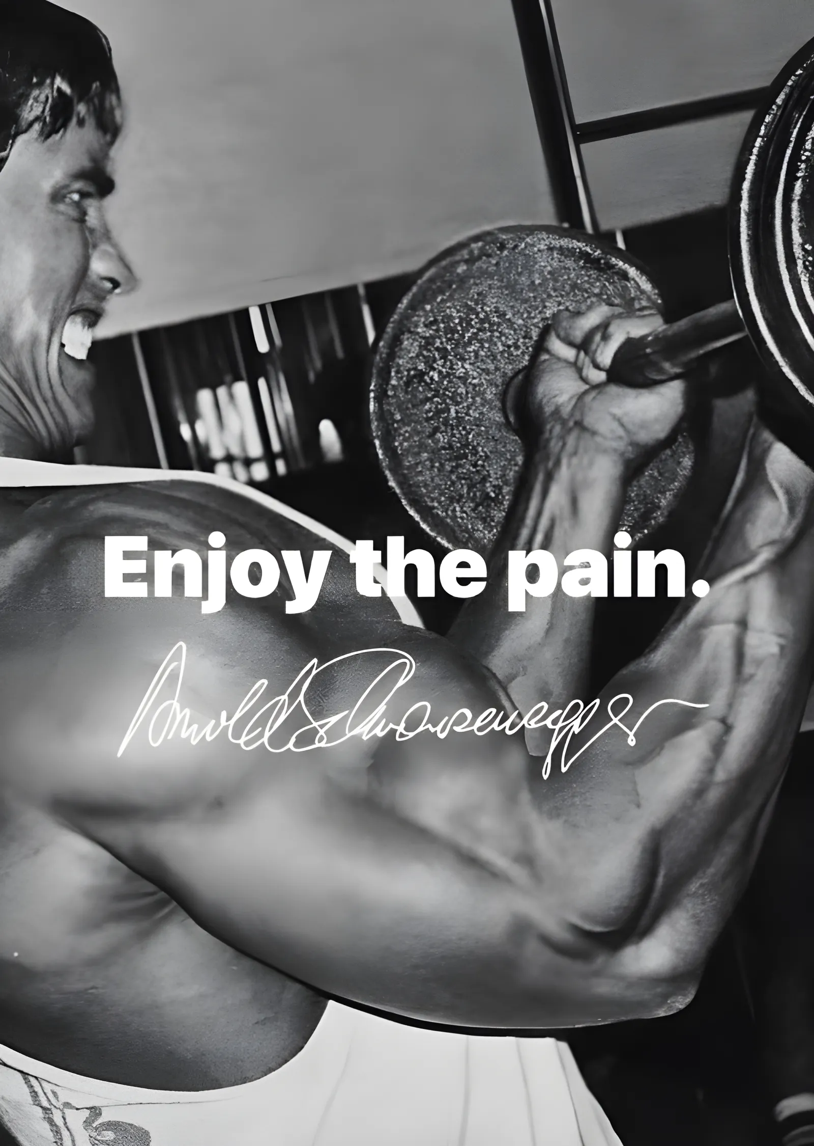 Arnold Schwarzenegger - Enjoy the Pain metal tablo