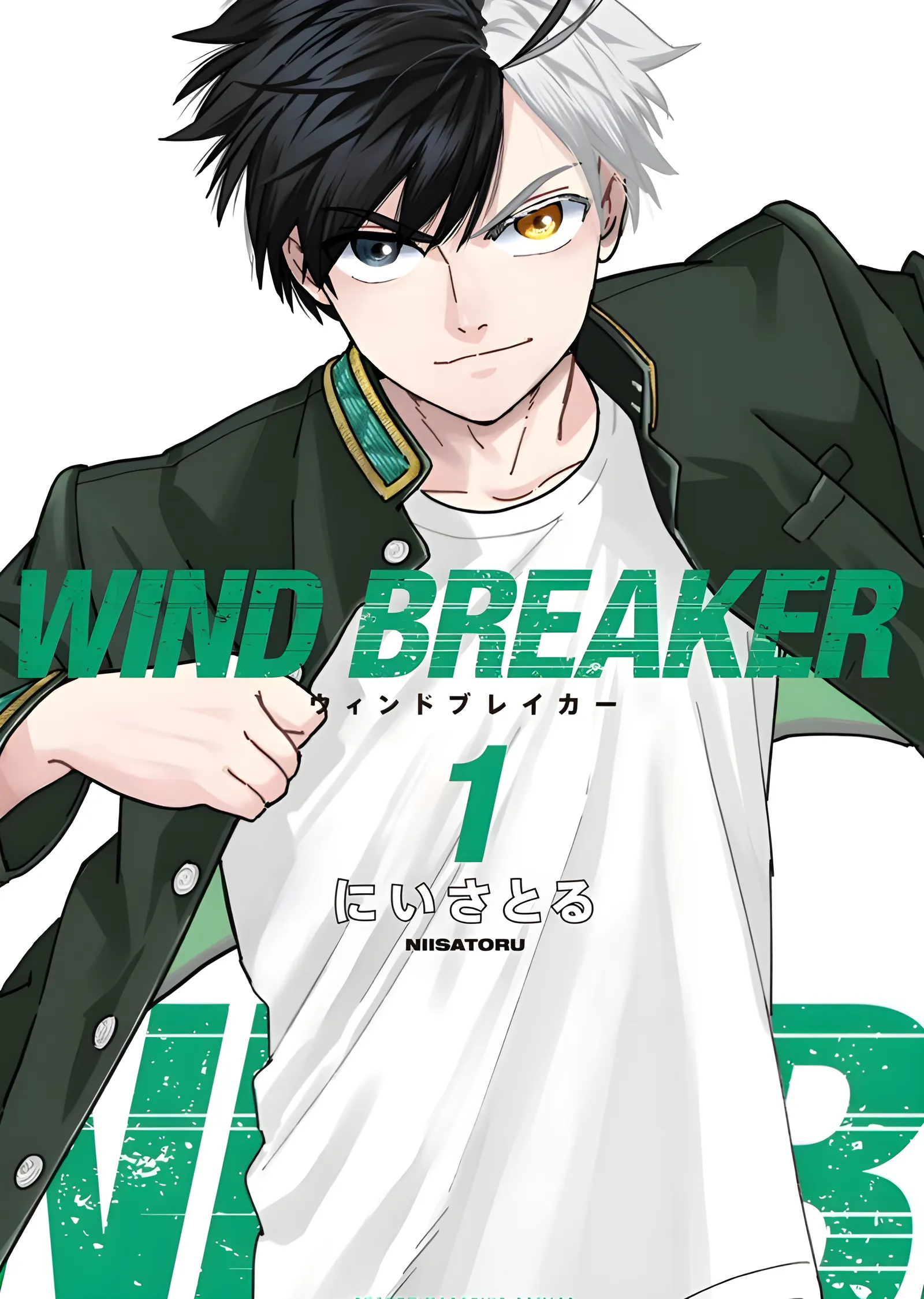 Wind Breaker: Birinci Cilt Kapağı metal tablo