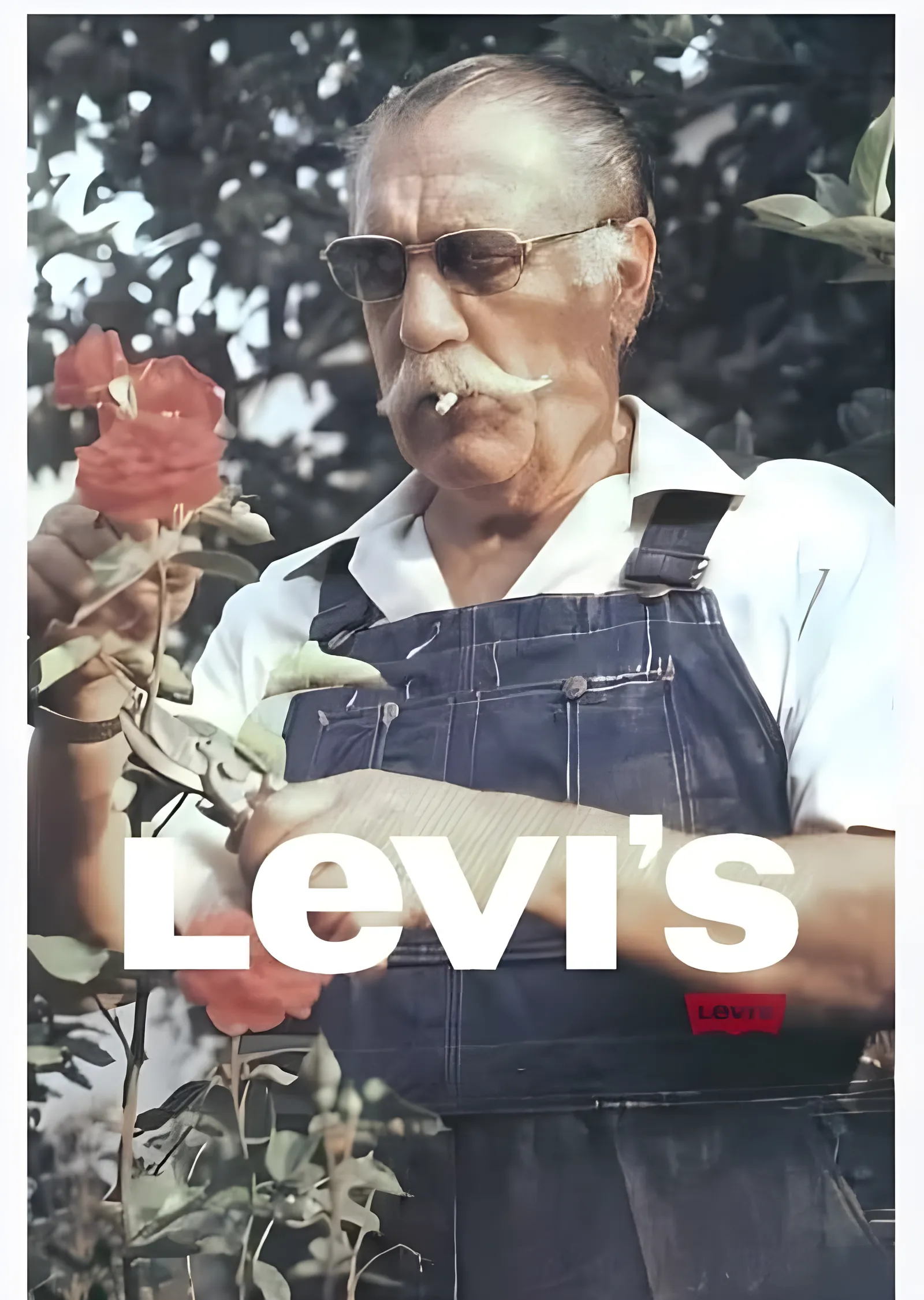 Levi's - Gül Bahçesinde Usta metal tablo