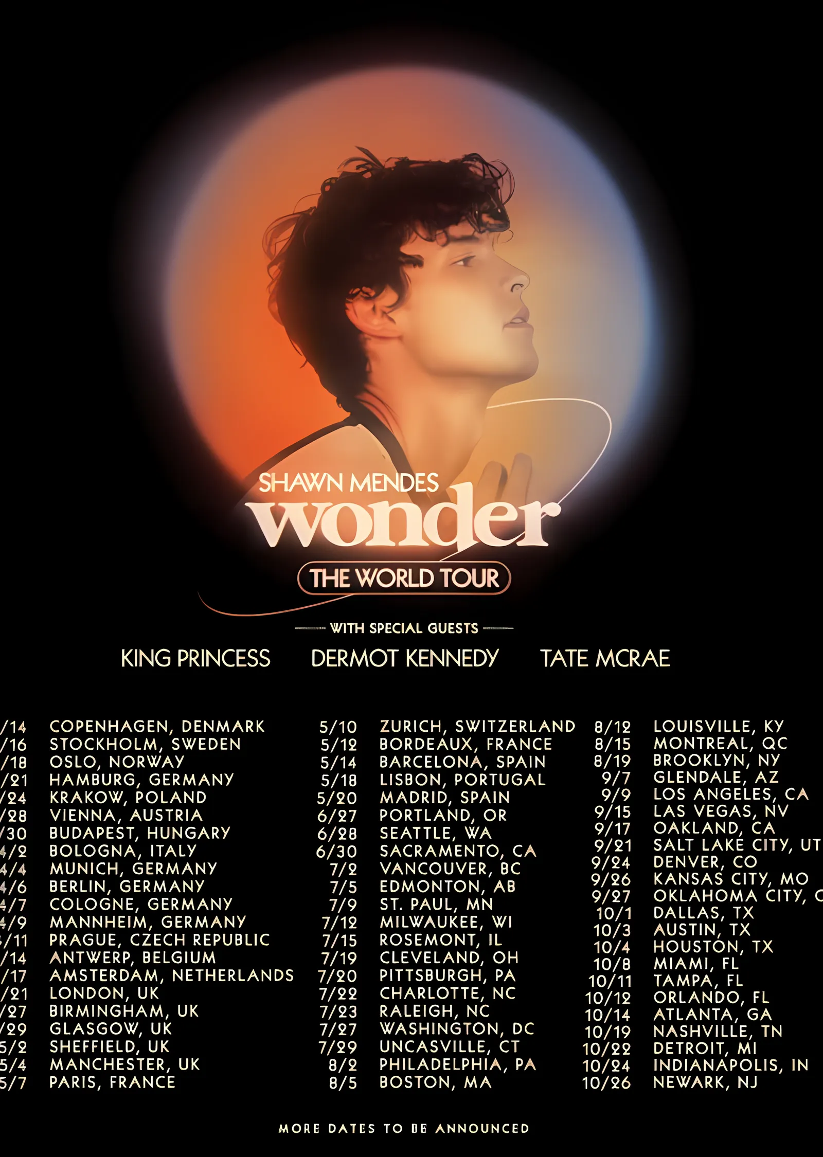 Shawn Mendes: Wonder The World Tour metal tablo