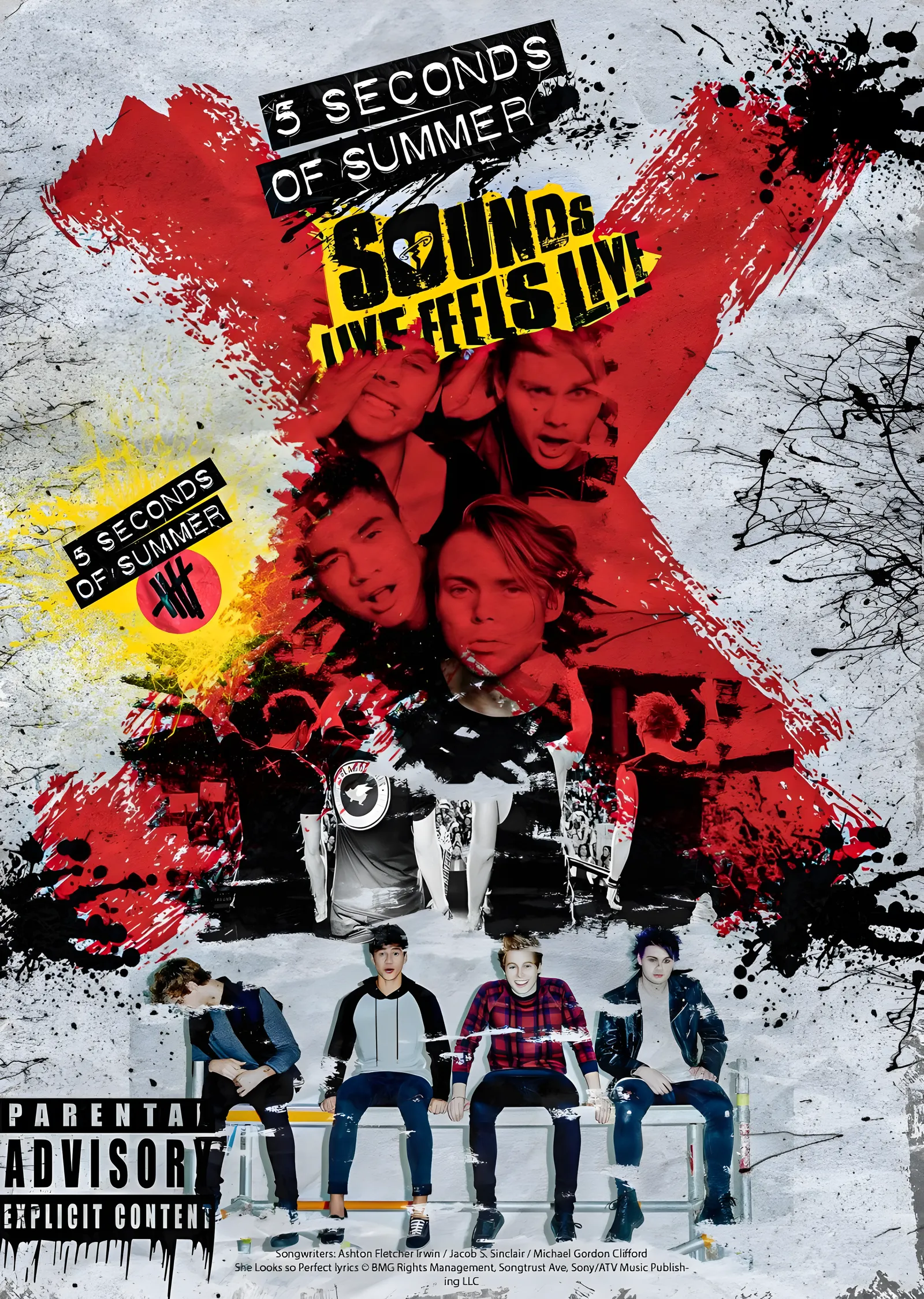 5 Seconds of Summer - Sounds Good Feels Good metal tablo