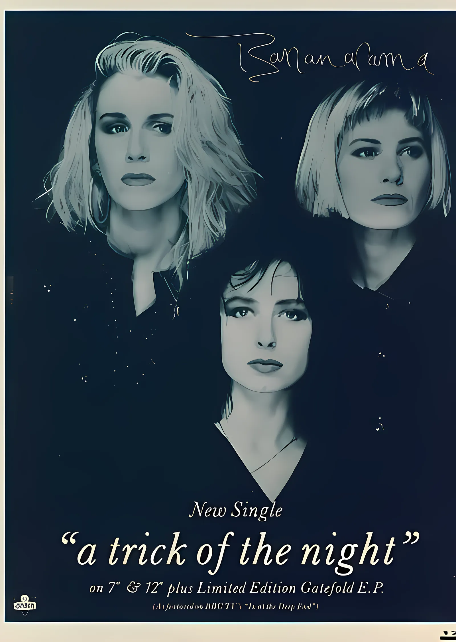 Bananarama: A Trick of the Night metal tablo