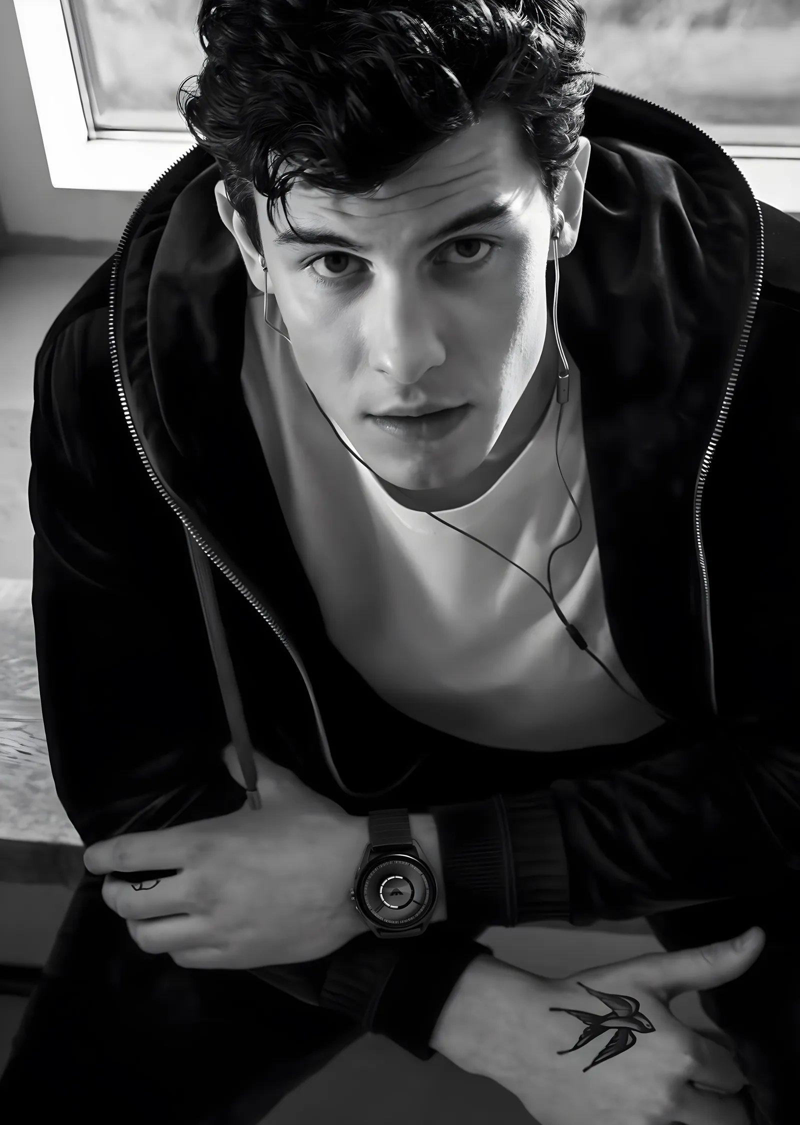 Shawn Mendes: Pencere Işığı metal tablo