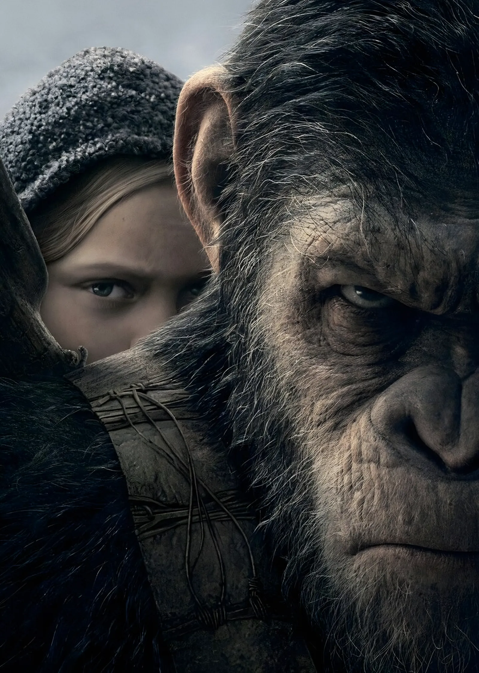 Planet of the Apes Kız ve Lider metal tablo
