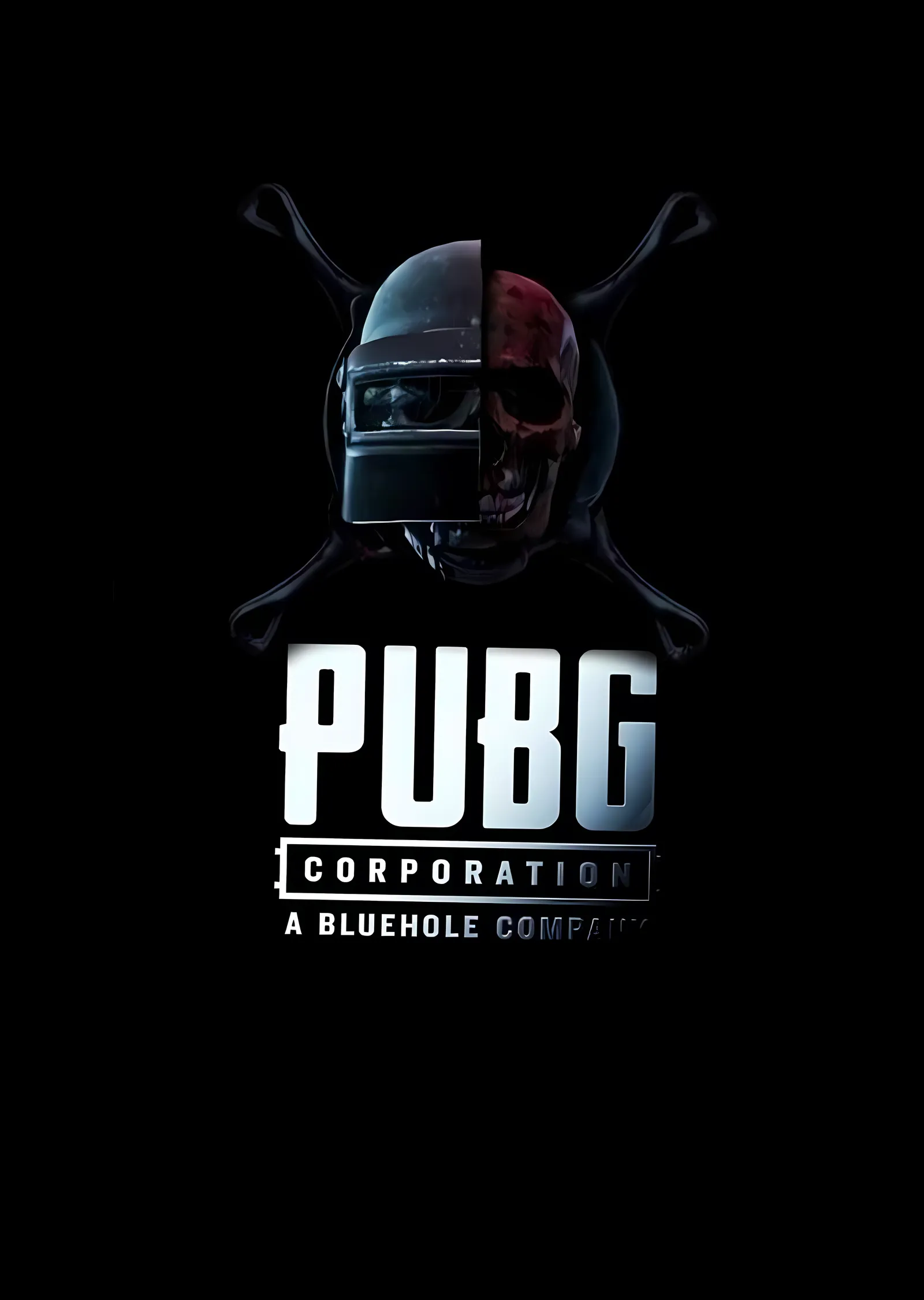 PUBG Corporation - Bölünmüş Miğfer metal tablo