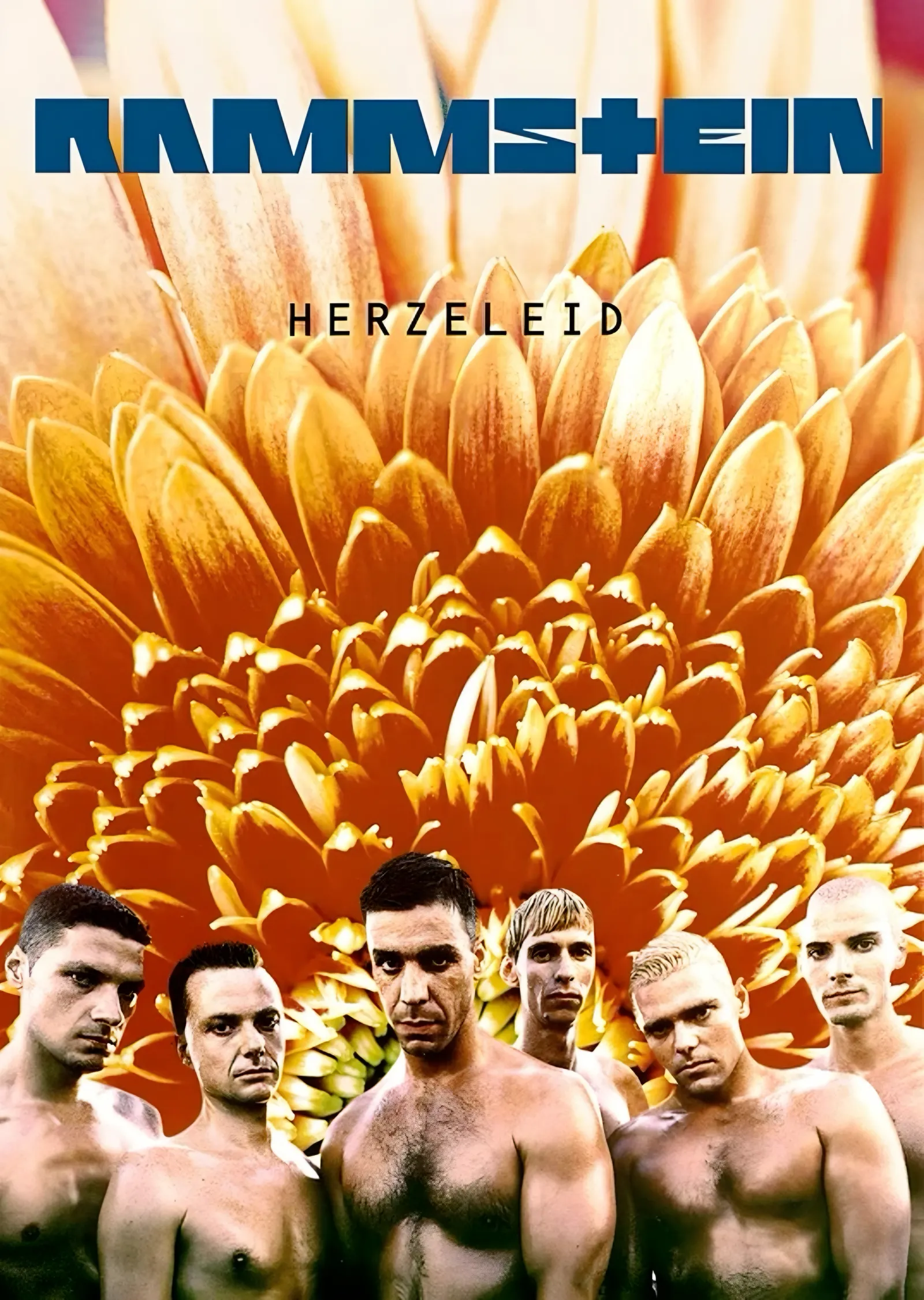 Rammstein - Herzeleid metal tablo