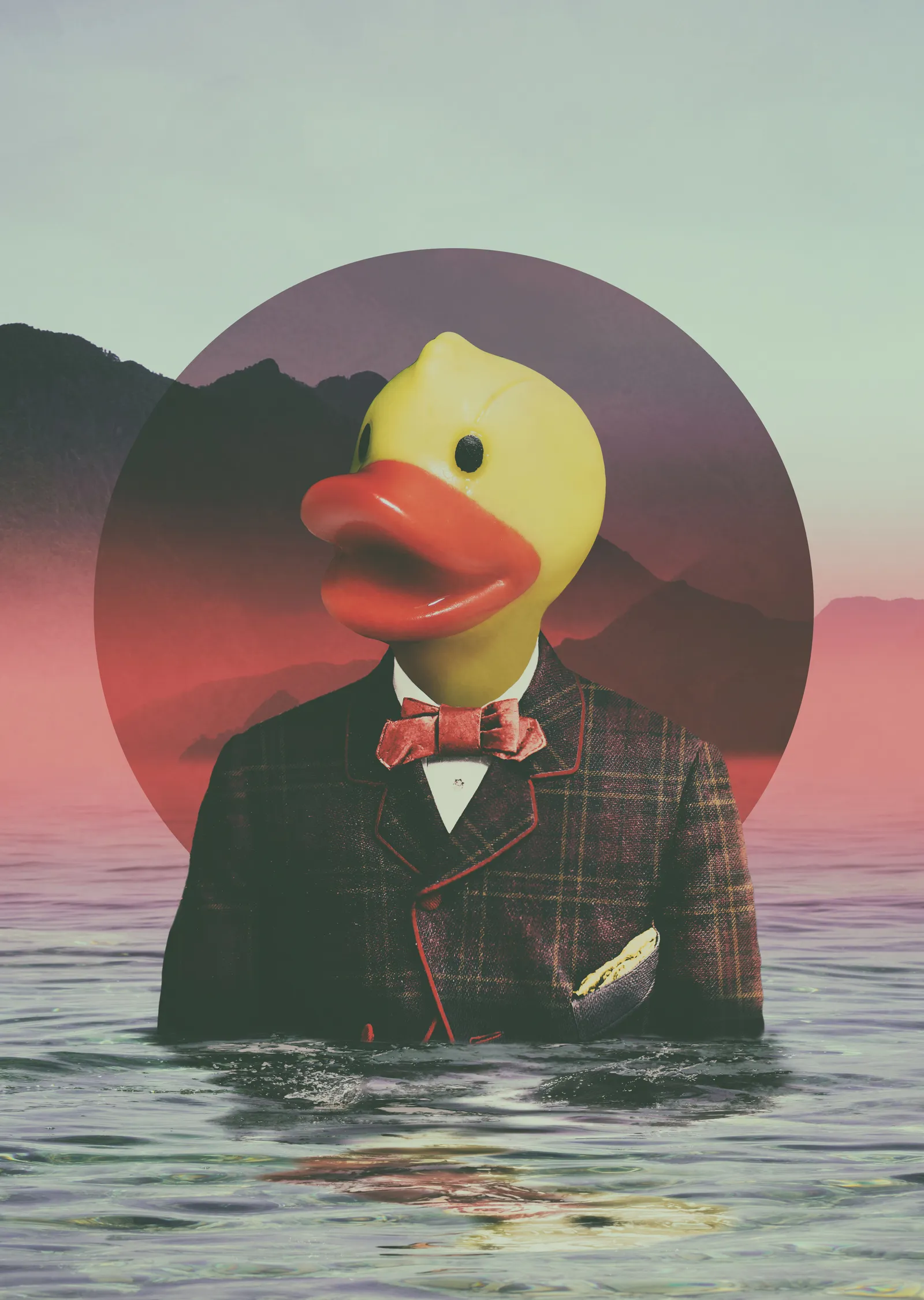Rubber Ducky metal tablo