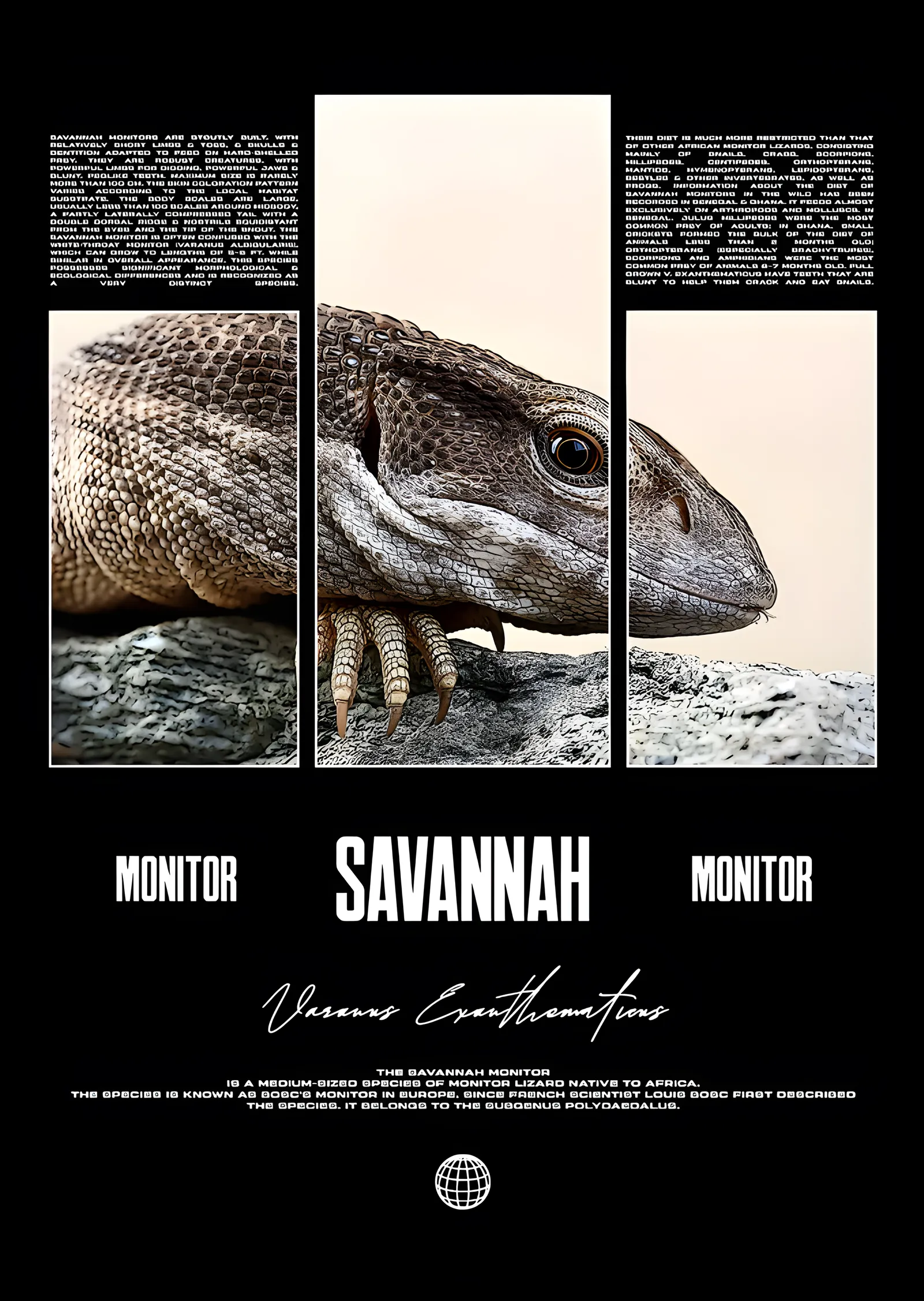 Savannah Monitor: Üç Panelli Levha metal tablo