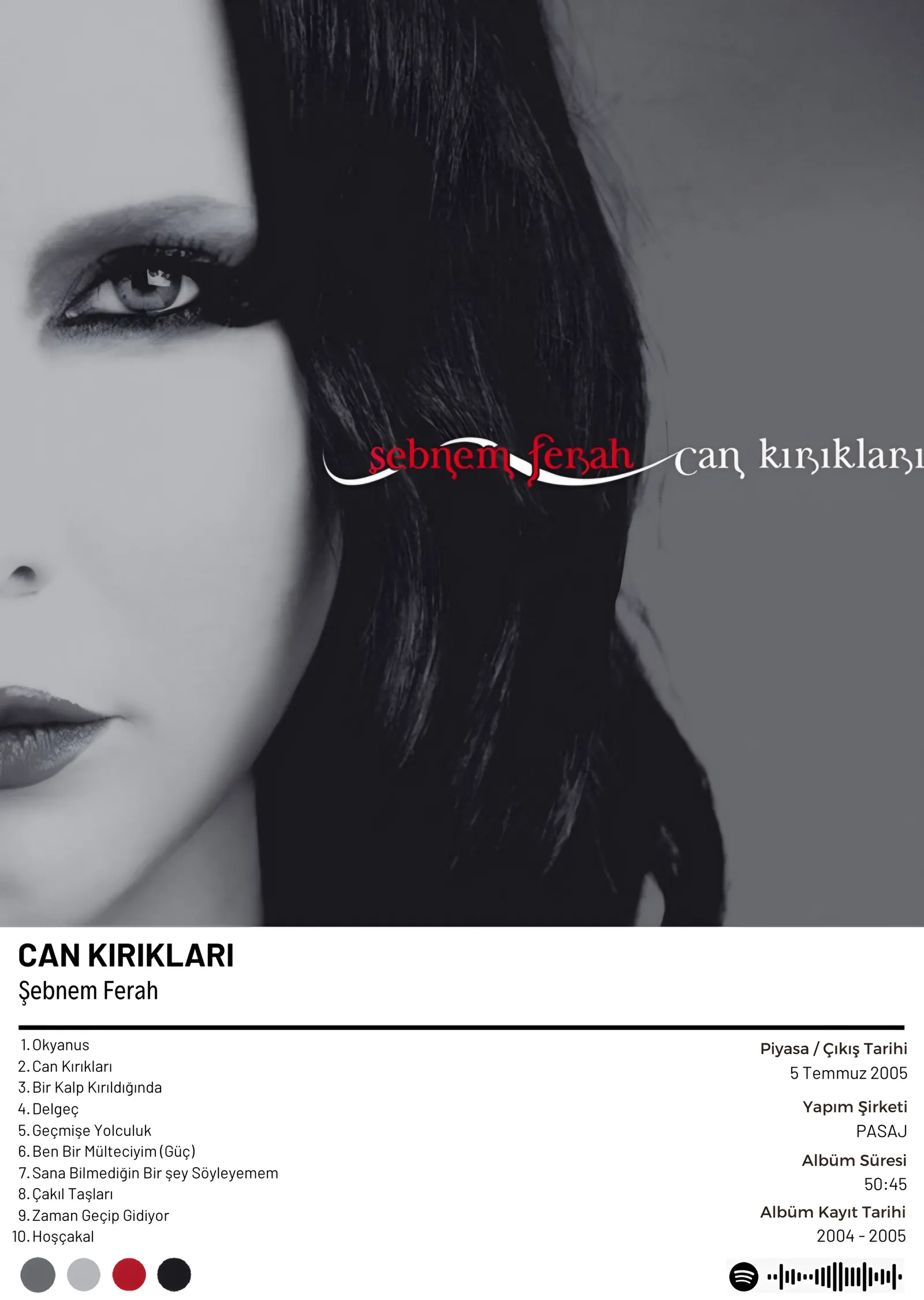 Şebnem Ferah - Can Kırıkları metal tablo