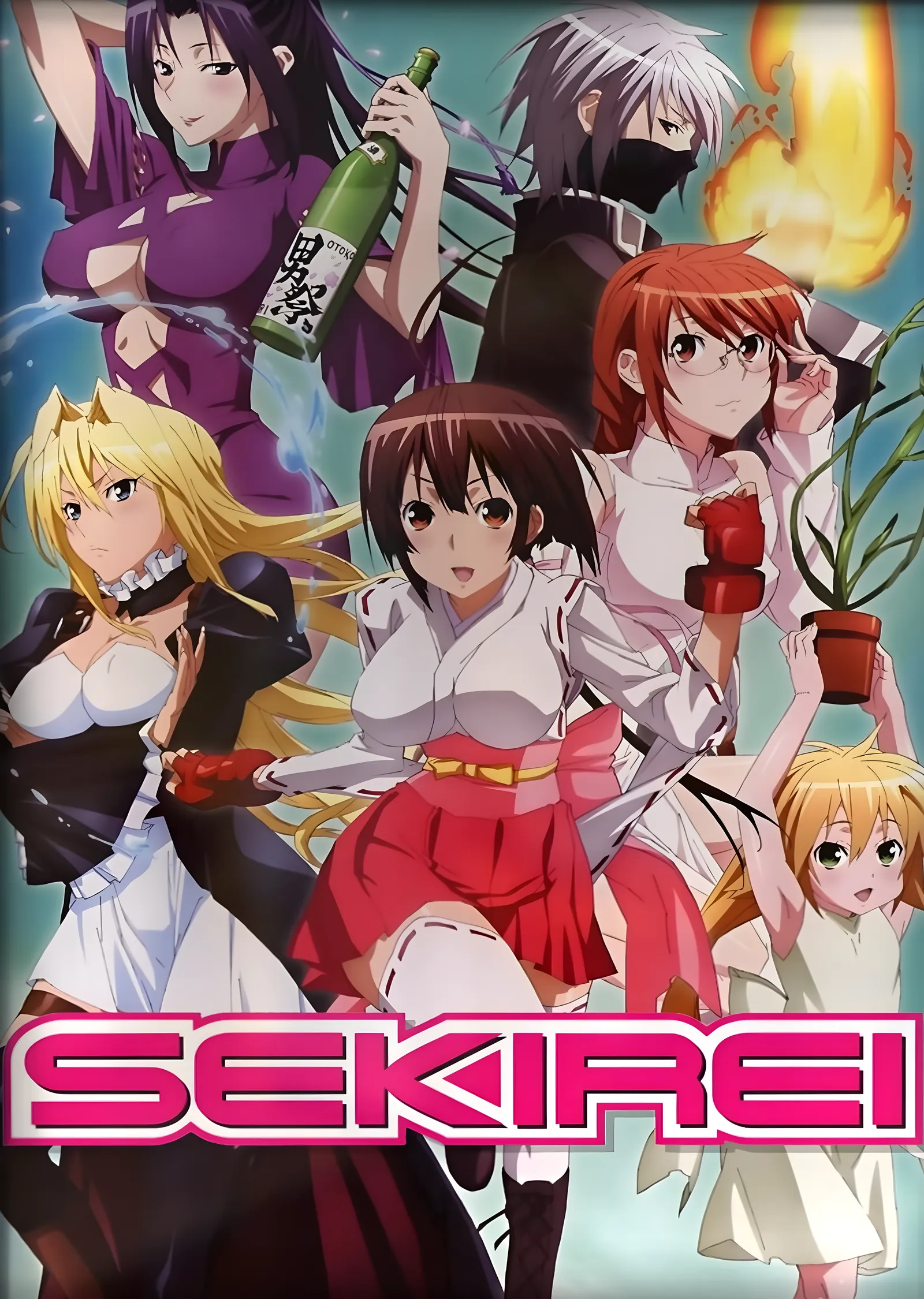 Sekirei metal tablo