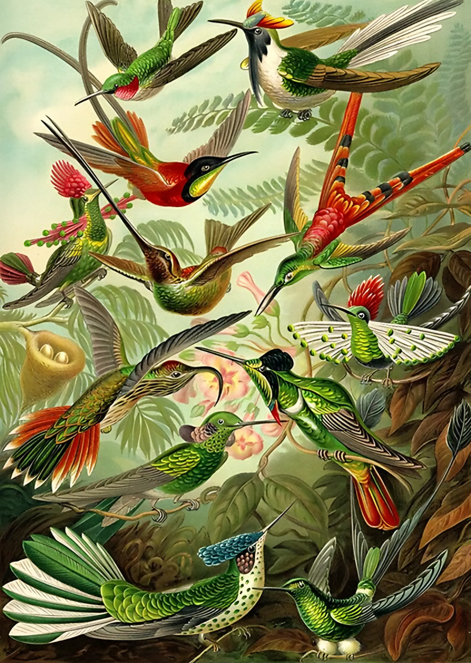 Sinekkuşları - Ernst Haeckel metal tablo