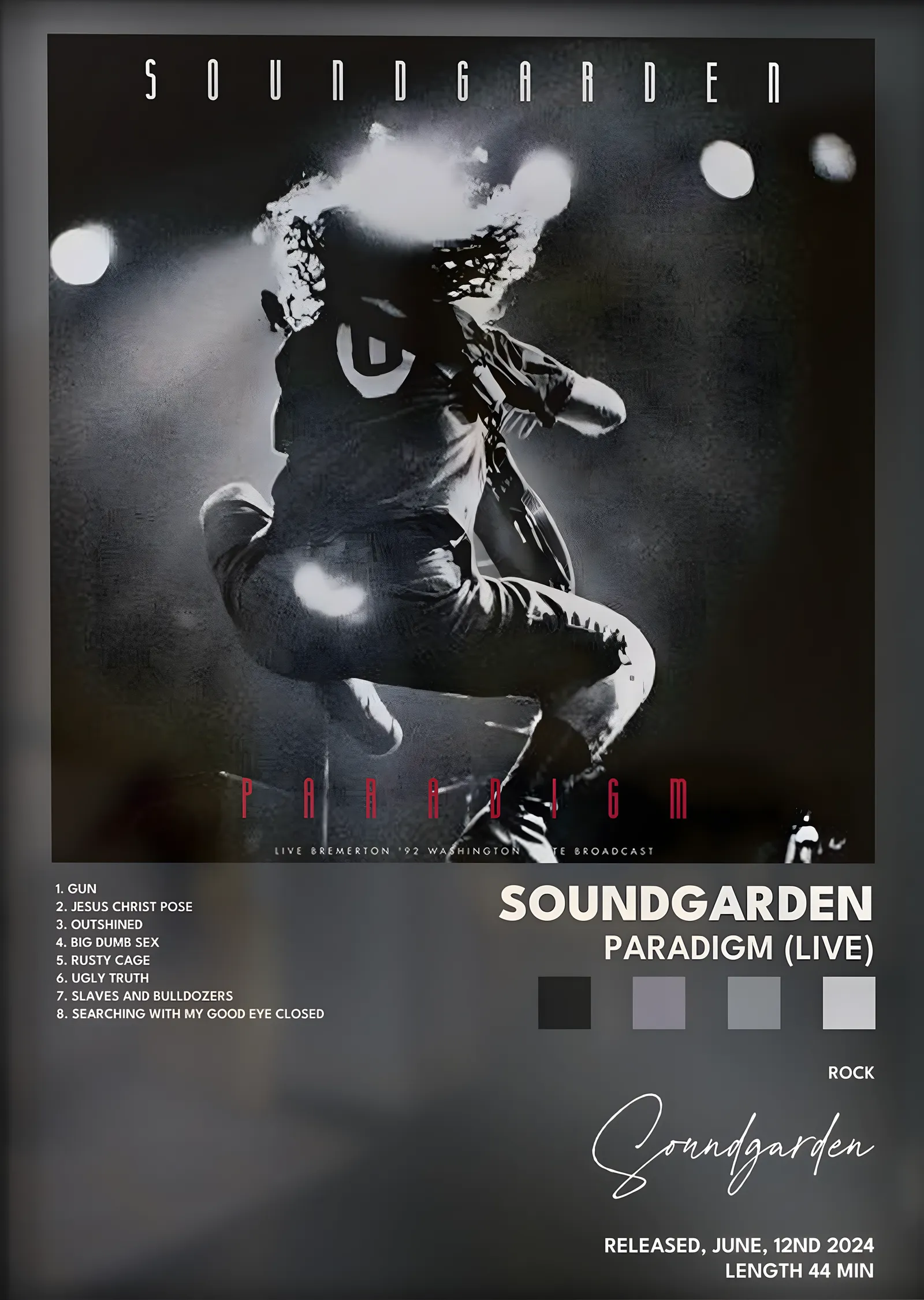 Soundgarden: Paradigm (Live) metal tablo