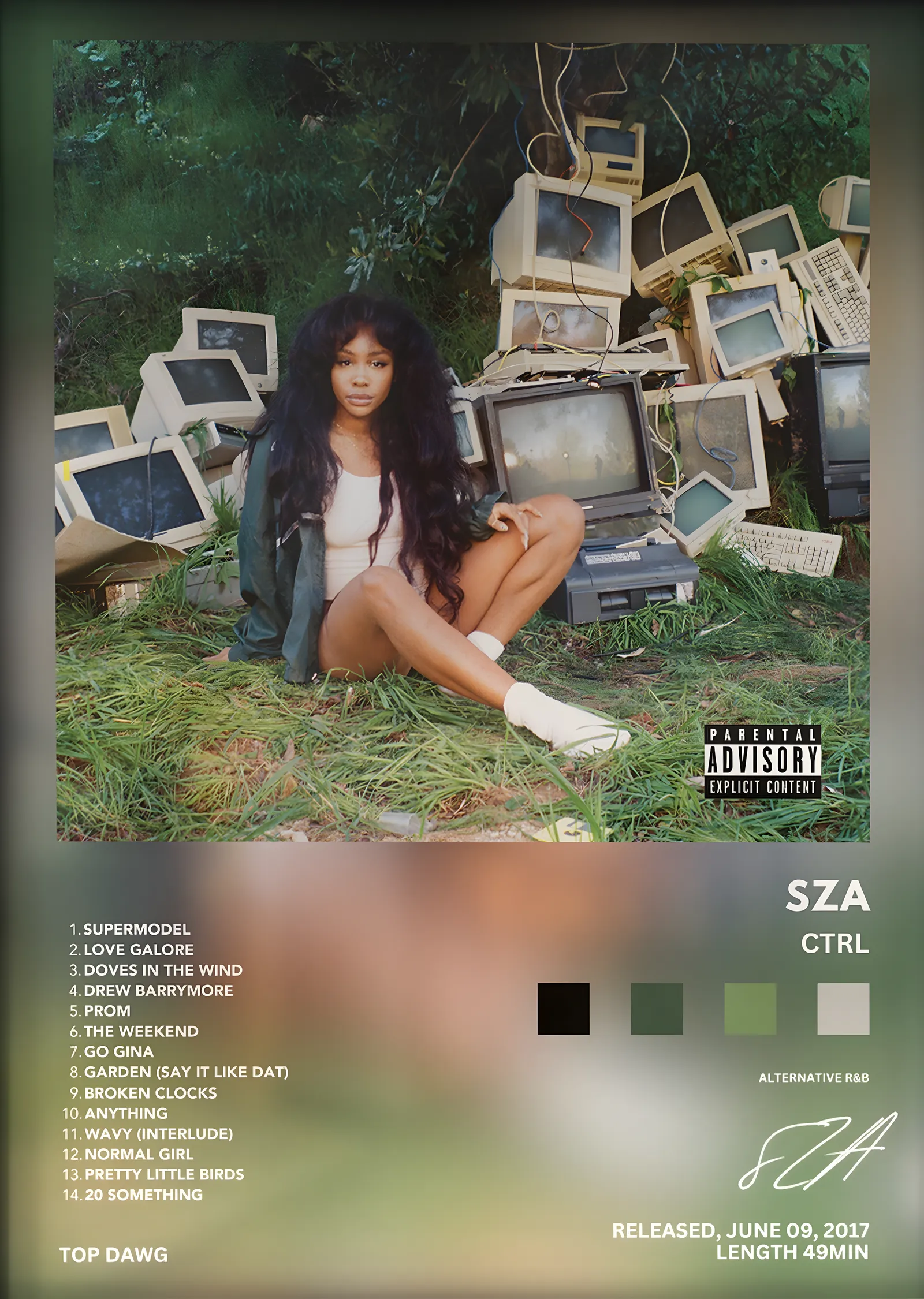 SZA: Ctrl (Televizyonlar) metal tablo
