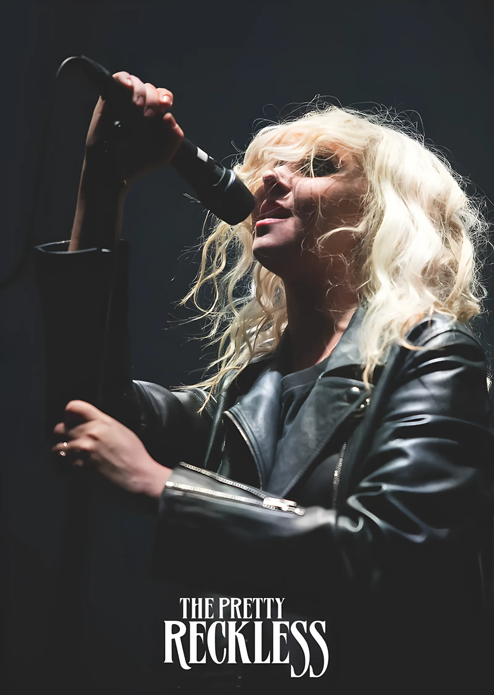 Taylor Momsen - The Pretty Reckless Sahnesi metal tablo