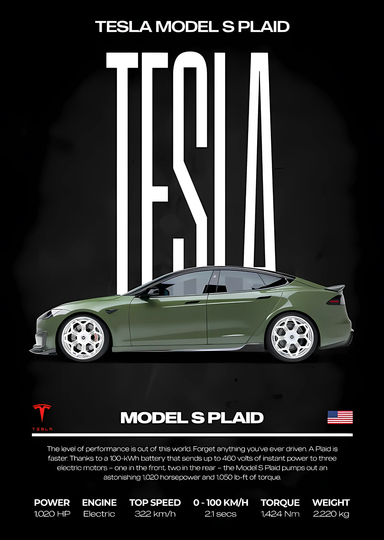 Tesla Model S Plaid: Beyaz Zemin Künyesi metal tablo