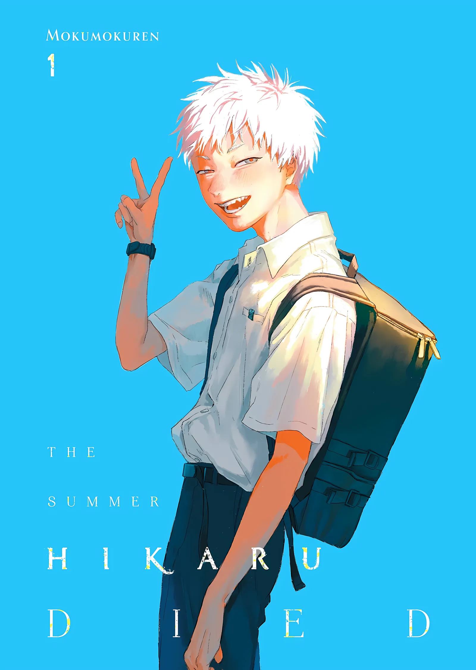 The Summer Hikaru Died Mavi Yaz metal tablo