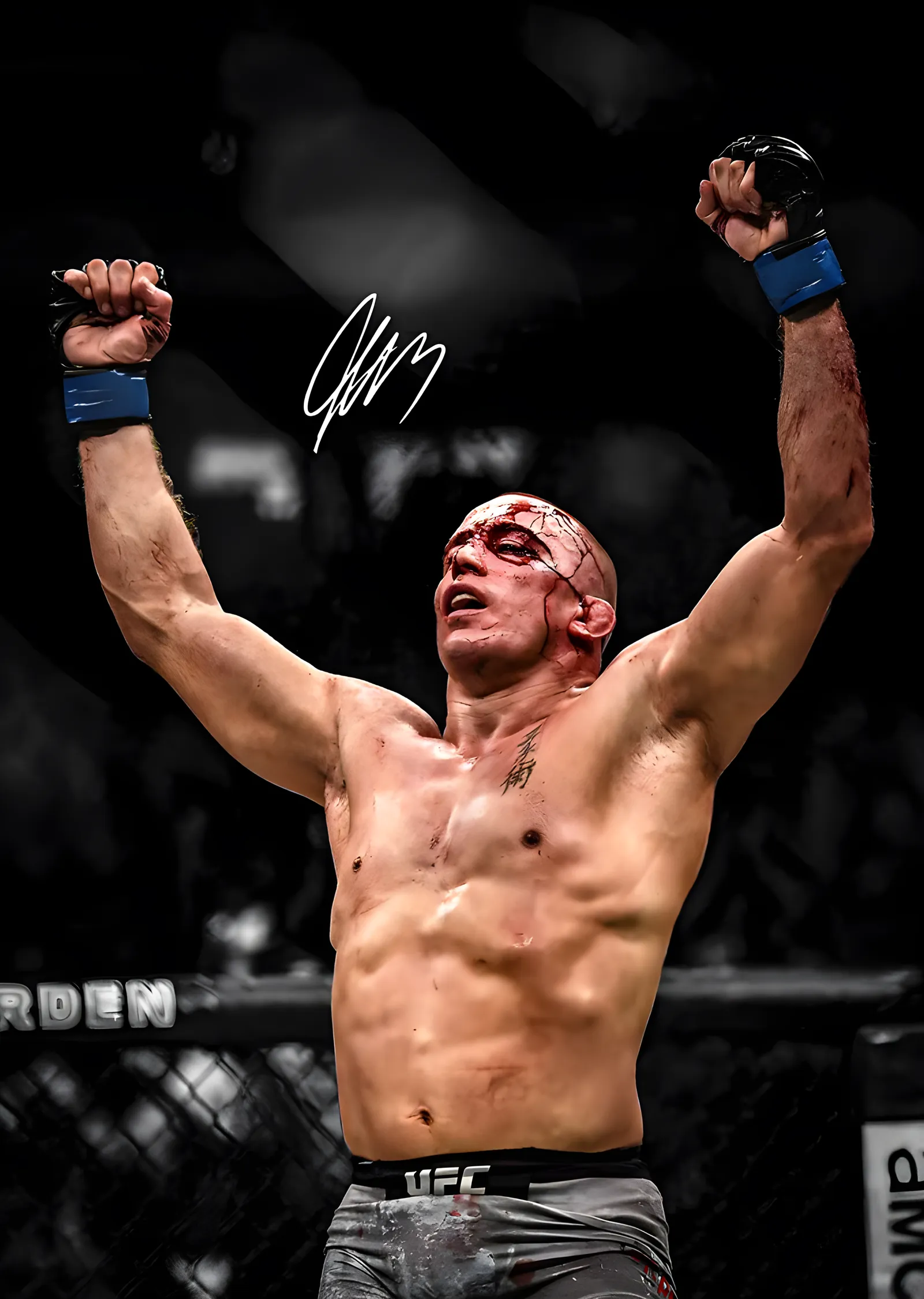UFC: Zafer metal tablo