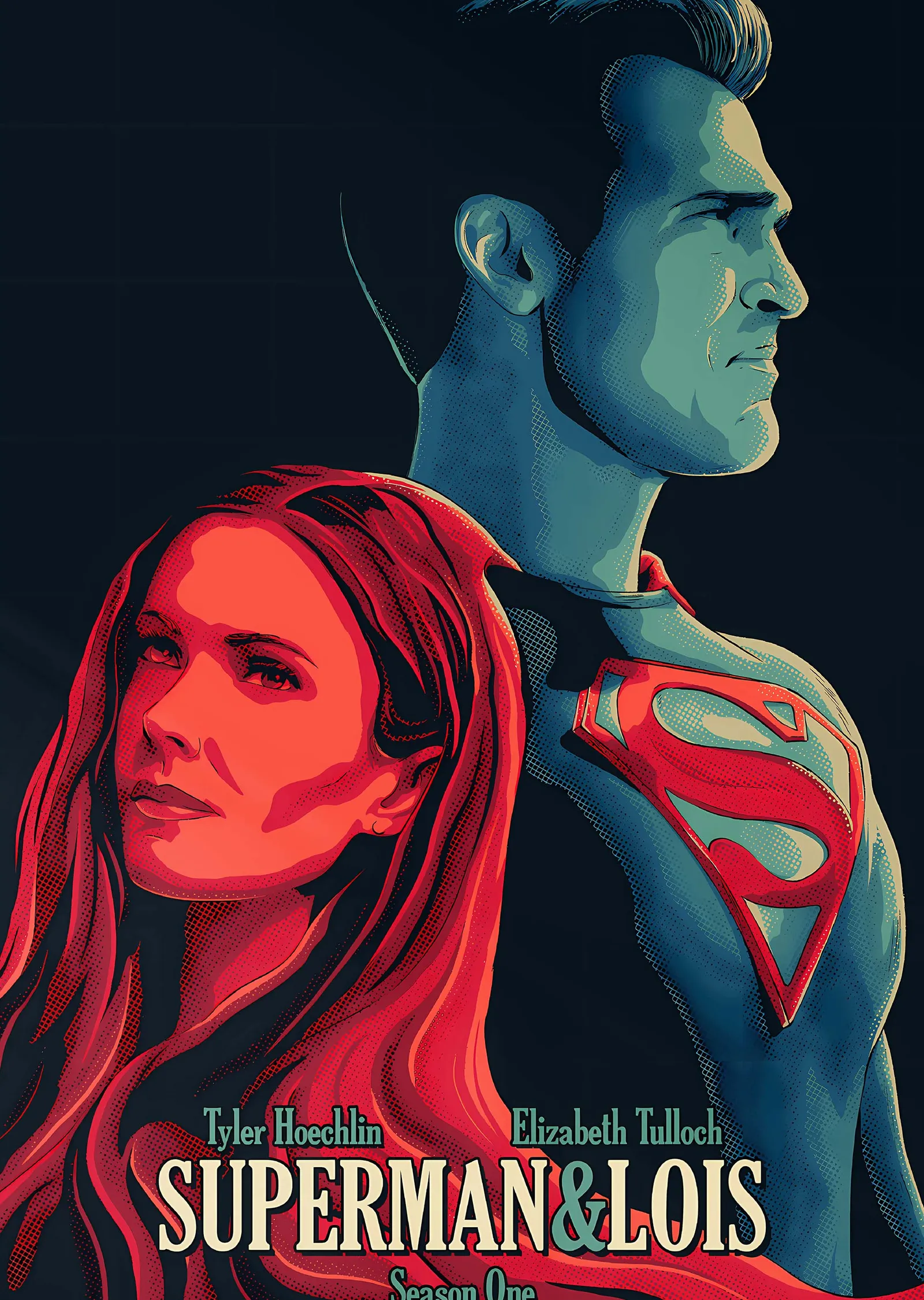 Superman & Lois metal tablo
