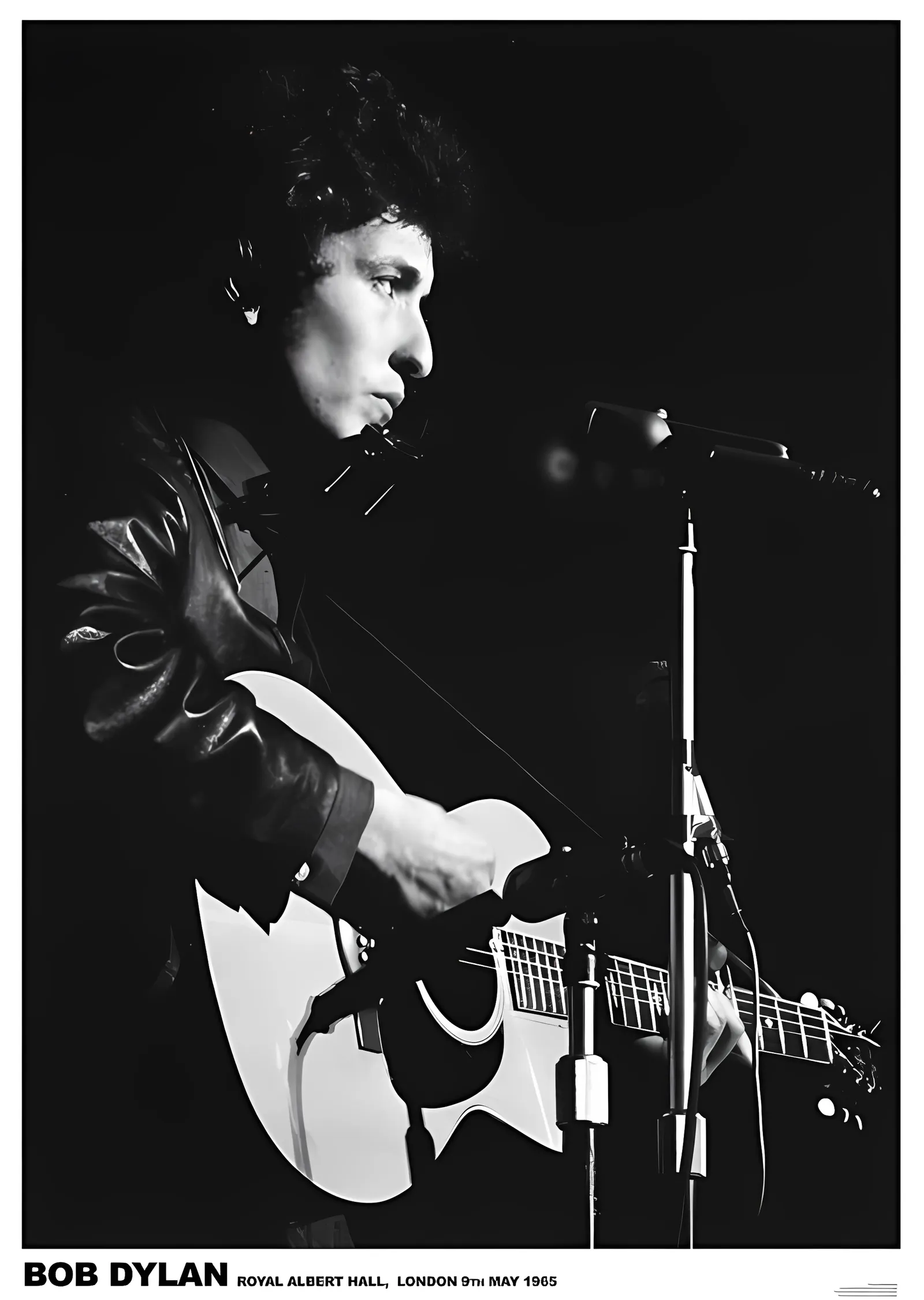 Bob Dylan: Royal Albert Hall 1965 metal tablo