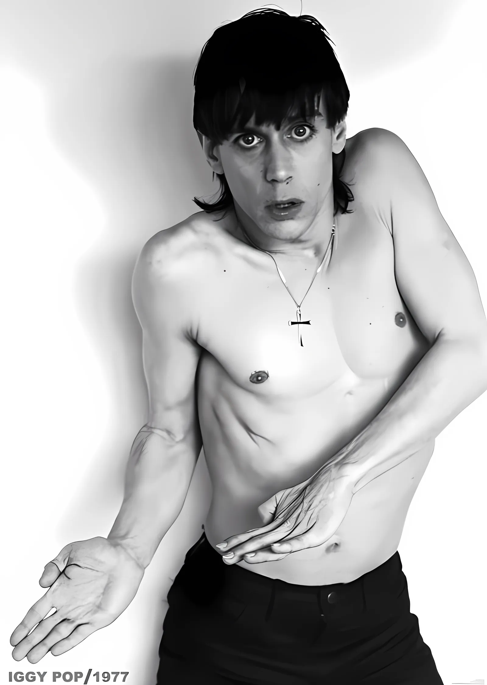Iggy Pop: Stüdyo 1977 metal tablo