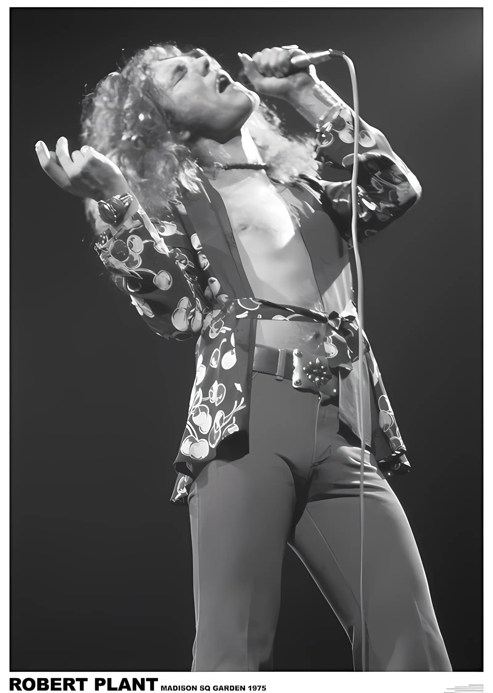 Robert Plant: Madison Square Garden 1975 metal tablo