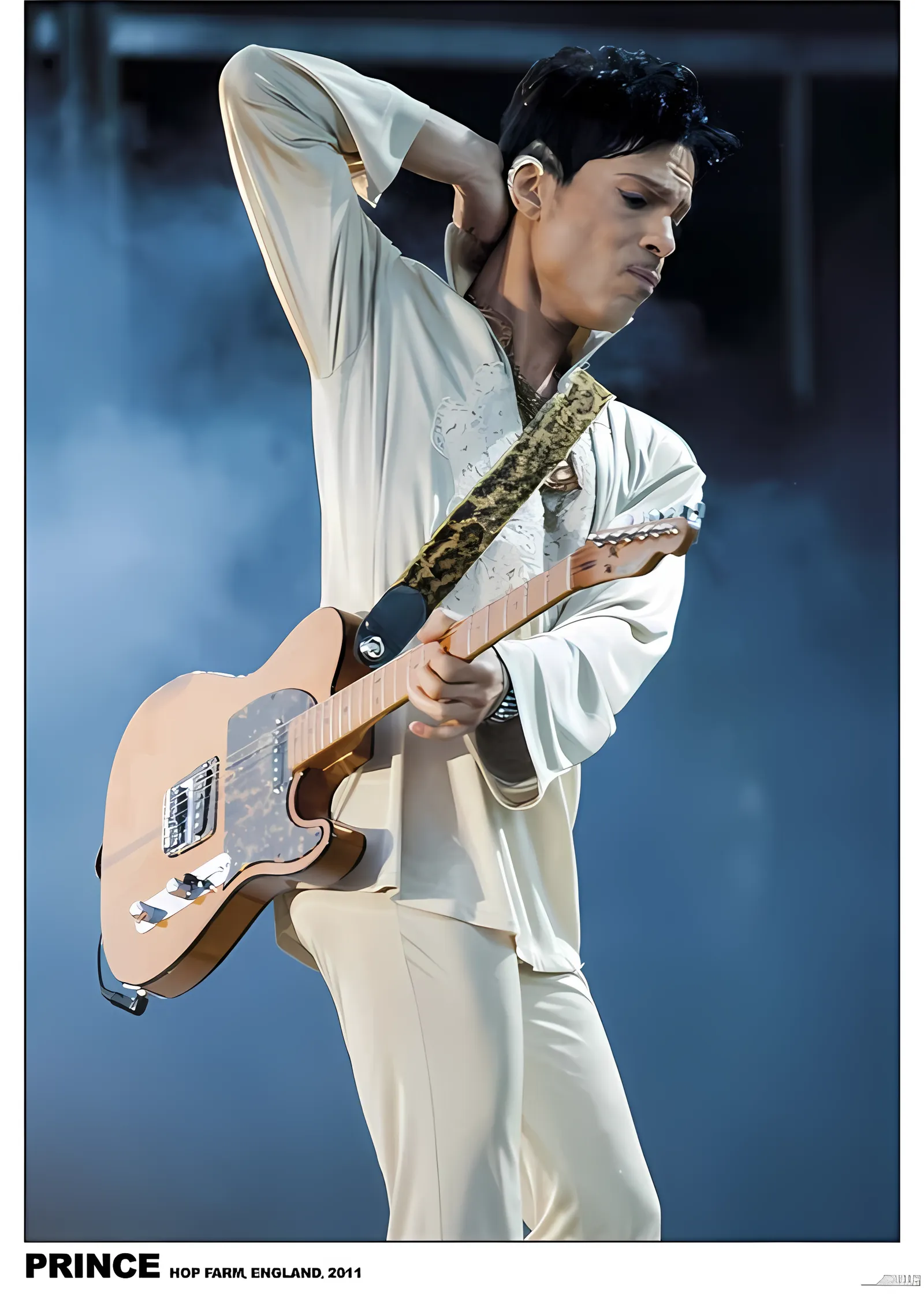 Prince: Hop Farm 2011 metal tablo