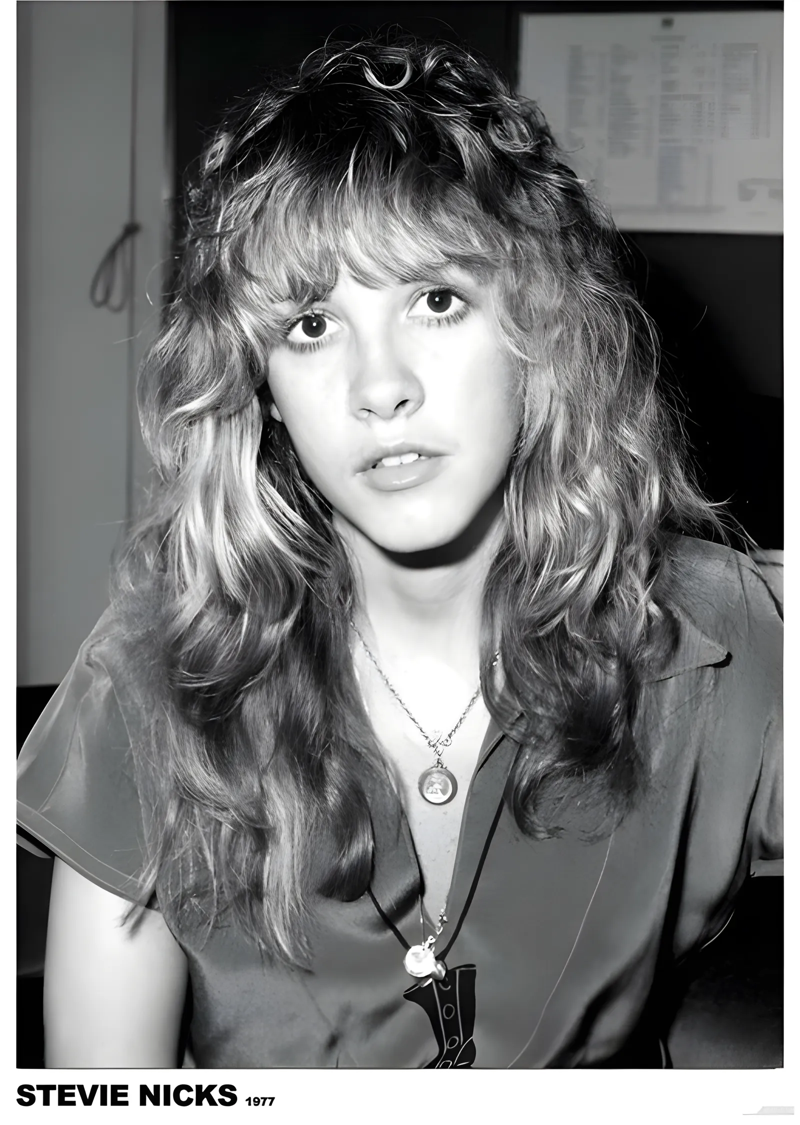 Stevie Nicks: 1977 metal tablo