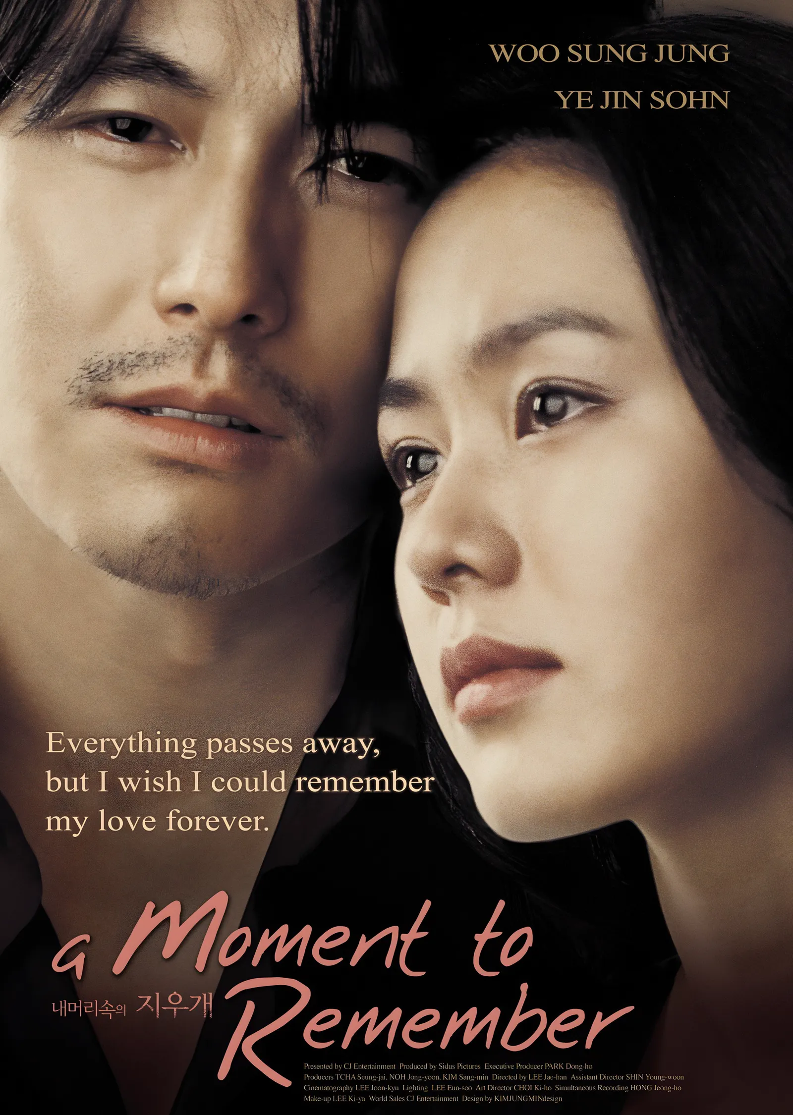 A Moment to Remember Portre Afişi metal tablo