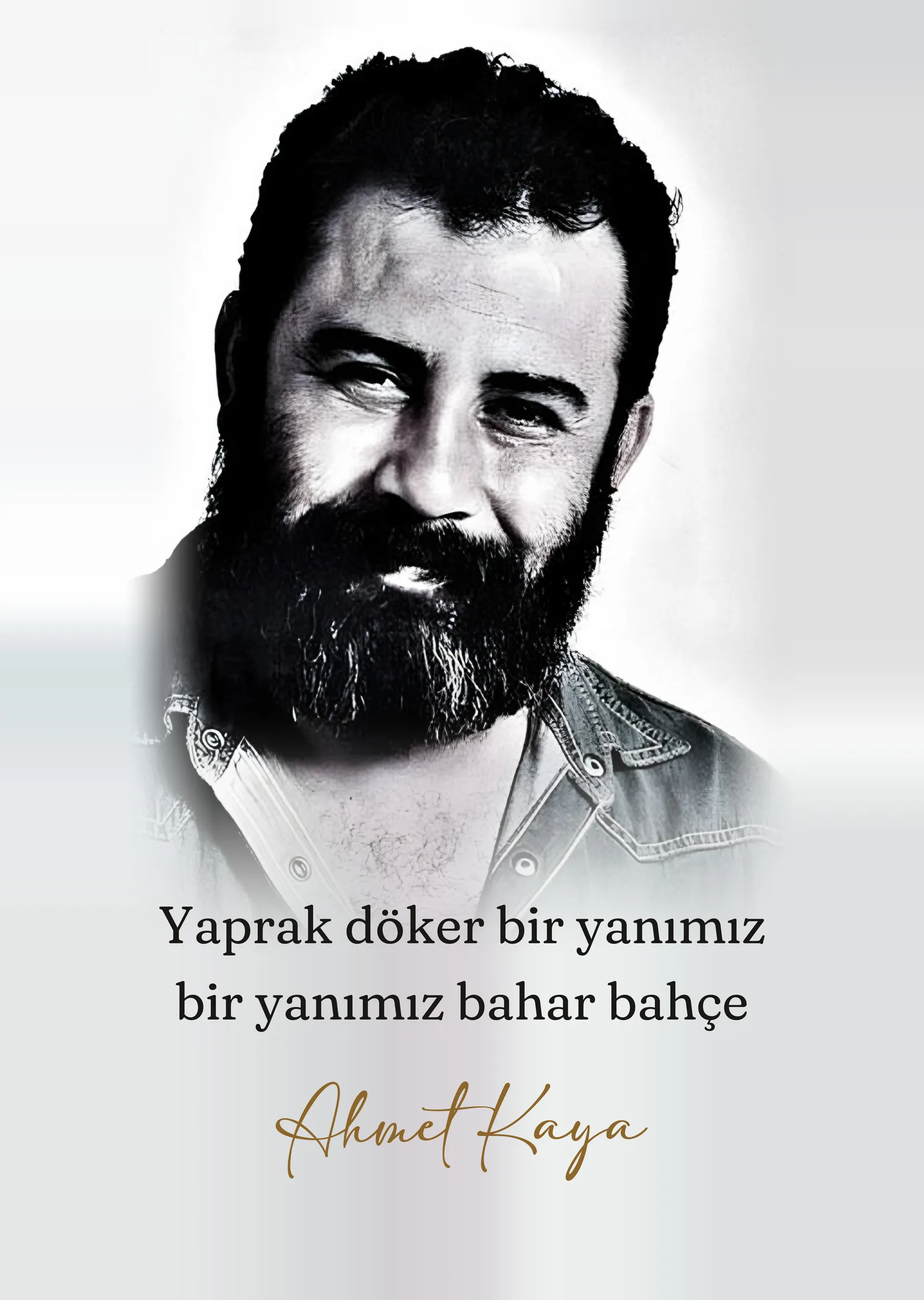 Ahmet Kaya - Yaprak Döker Bir Yanımız metal tablo