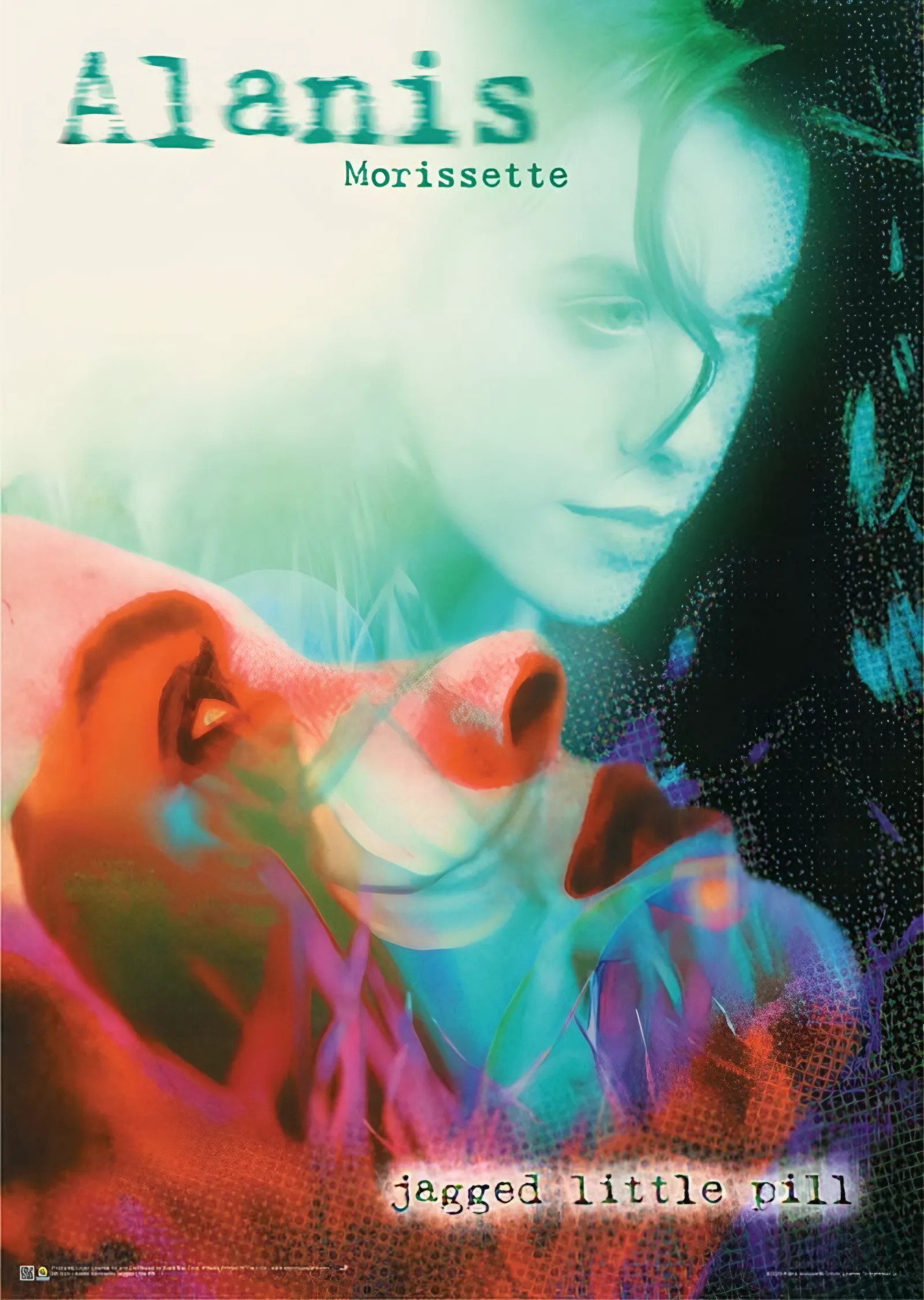 Alanis Morissette - Jagged Little Pill Renk Katmanları metal tablo