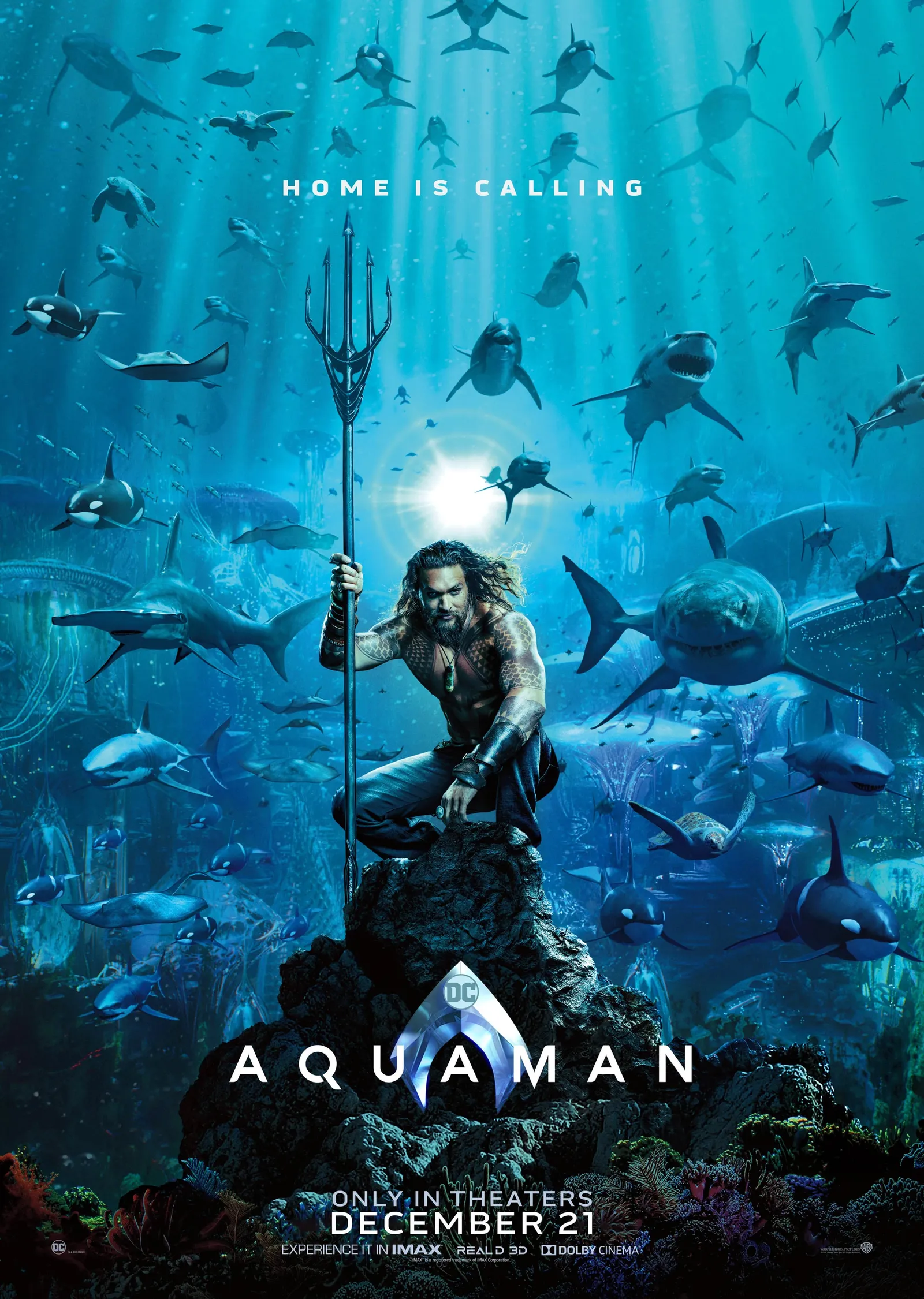 Aquaman Sualtı Afişi metal tablo