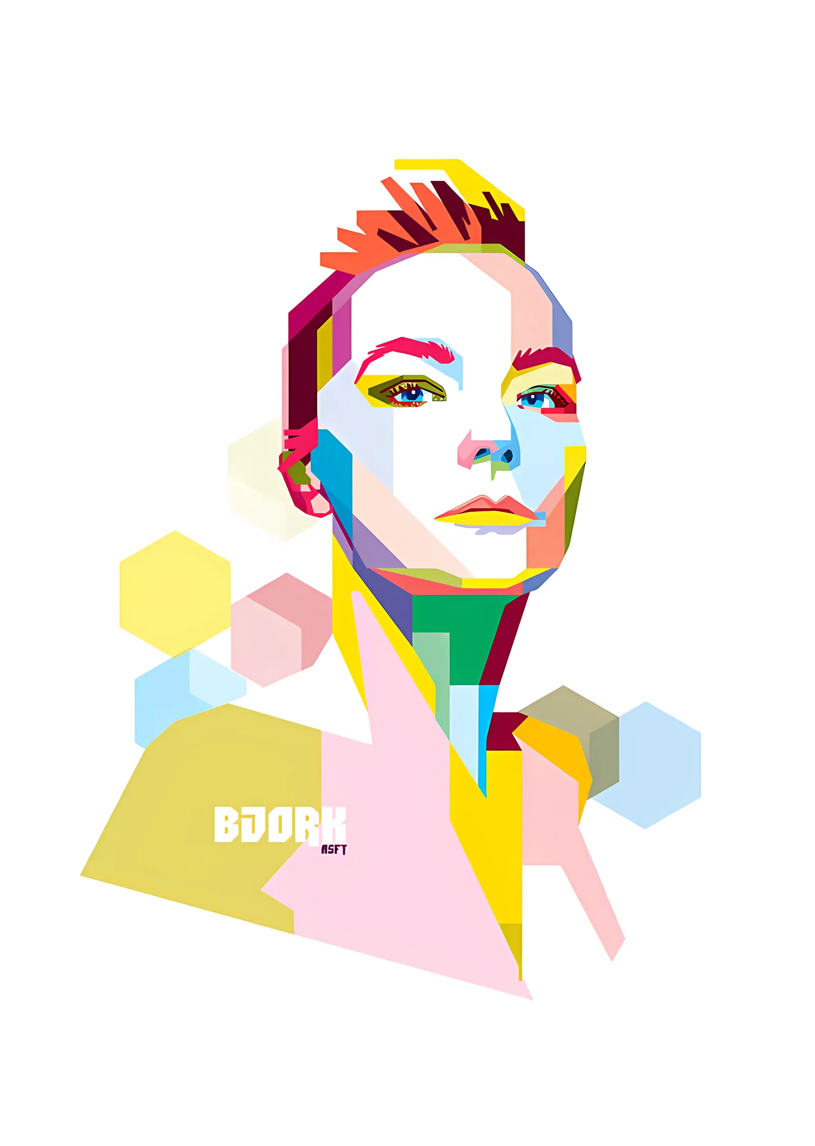 Björk: Geometrik Renk Portresi metal tablo