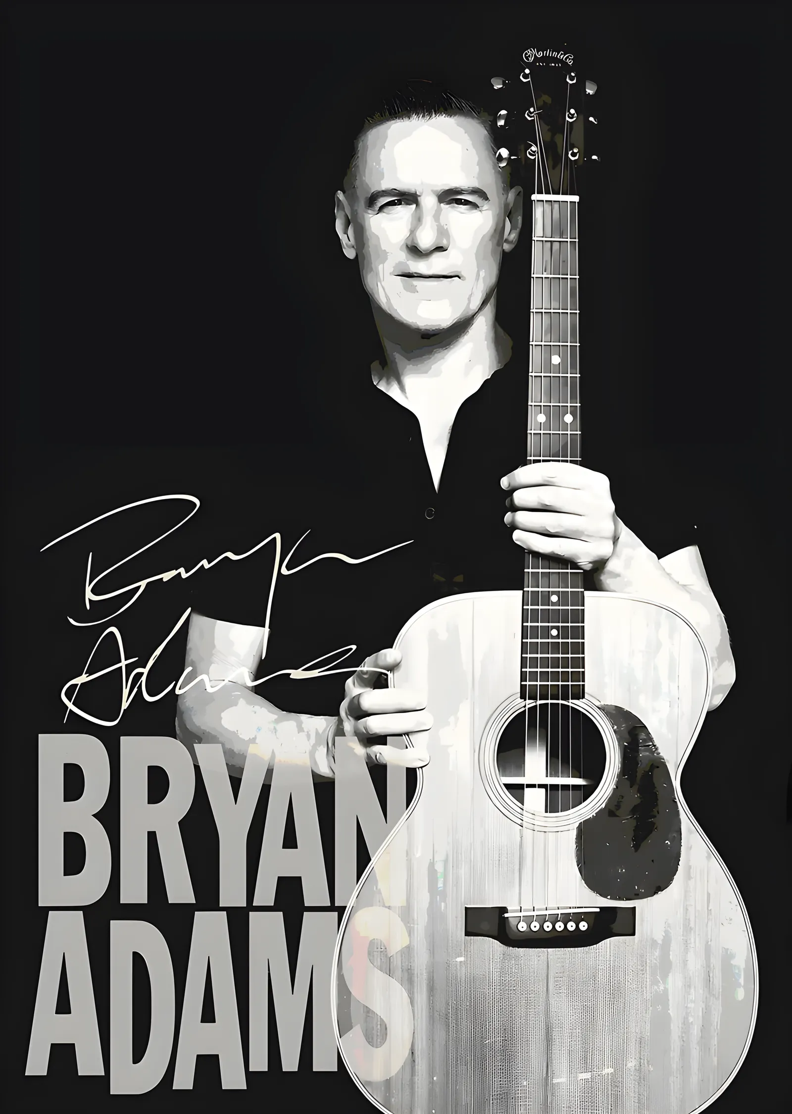 Bryan Adams - Gitar metal tablo