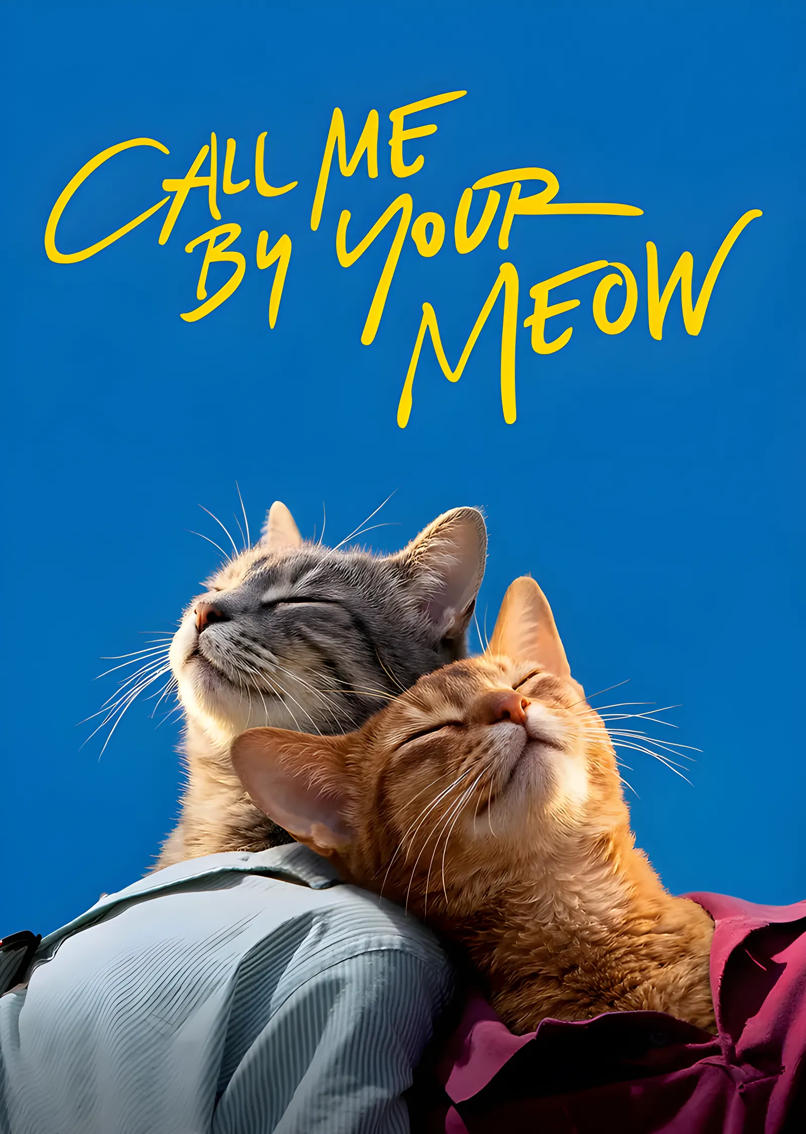 Call Me by Your Meow - Kediler metal tablo