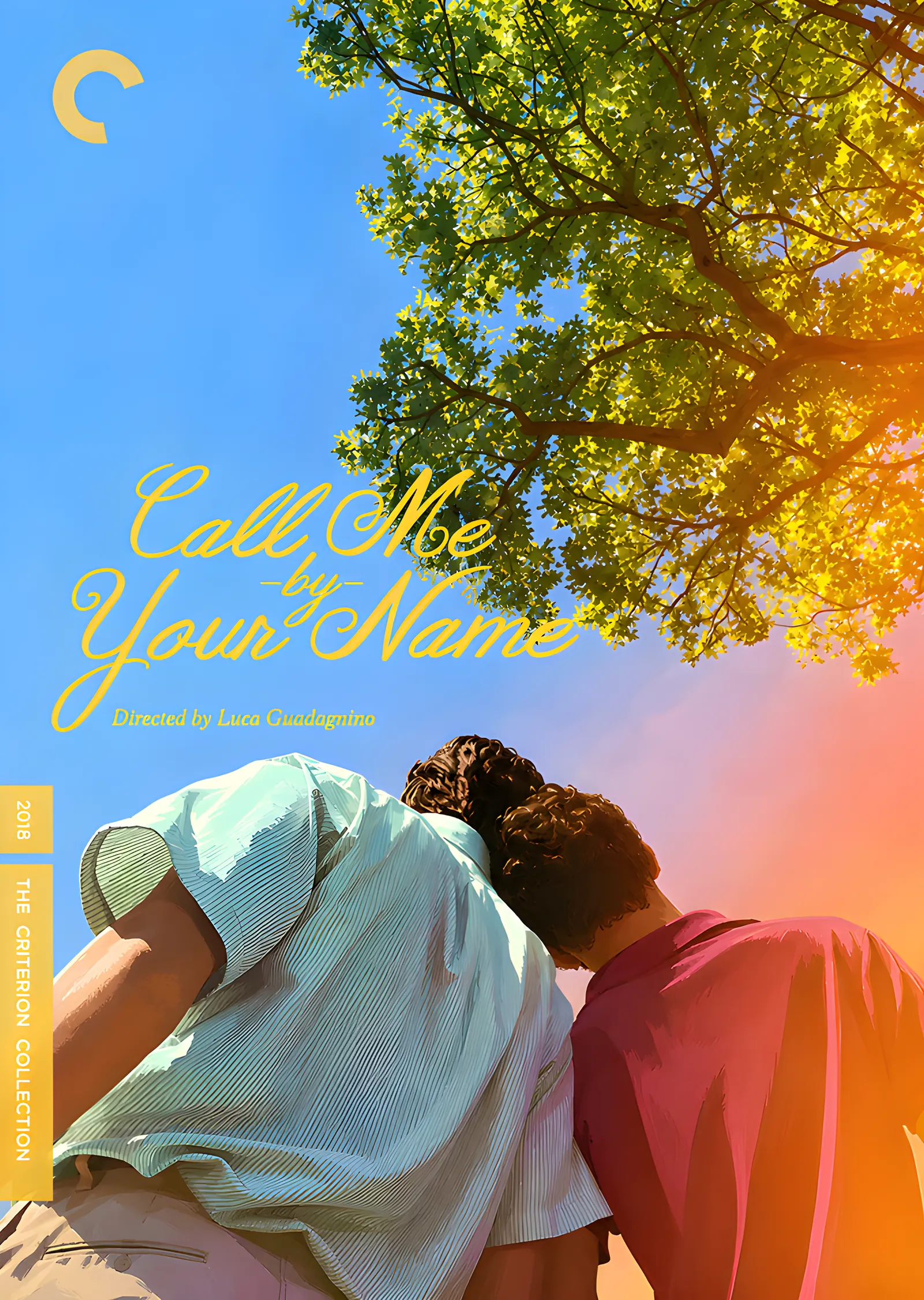 Call Me by Your Name - Criterion Düzeni metal tablo