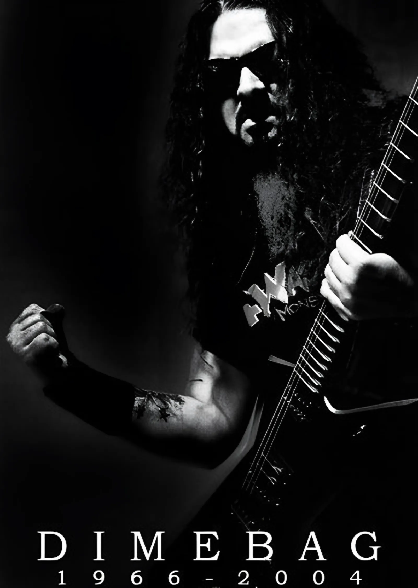 Dimebag Darrell: 1966-2004 Anma Karesi metal tablo