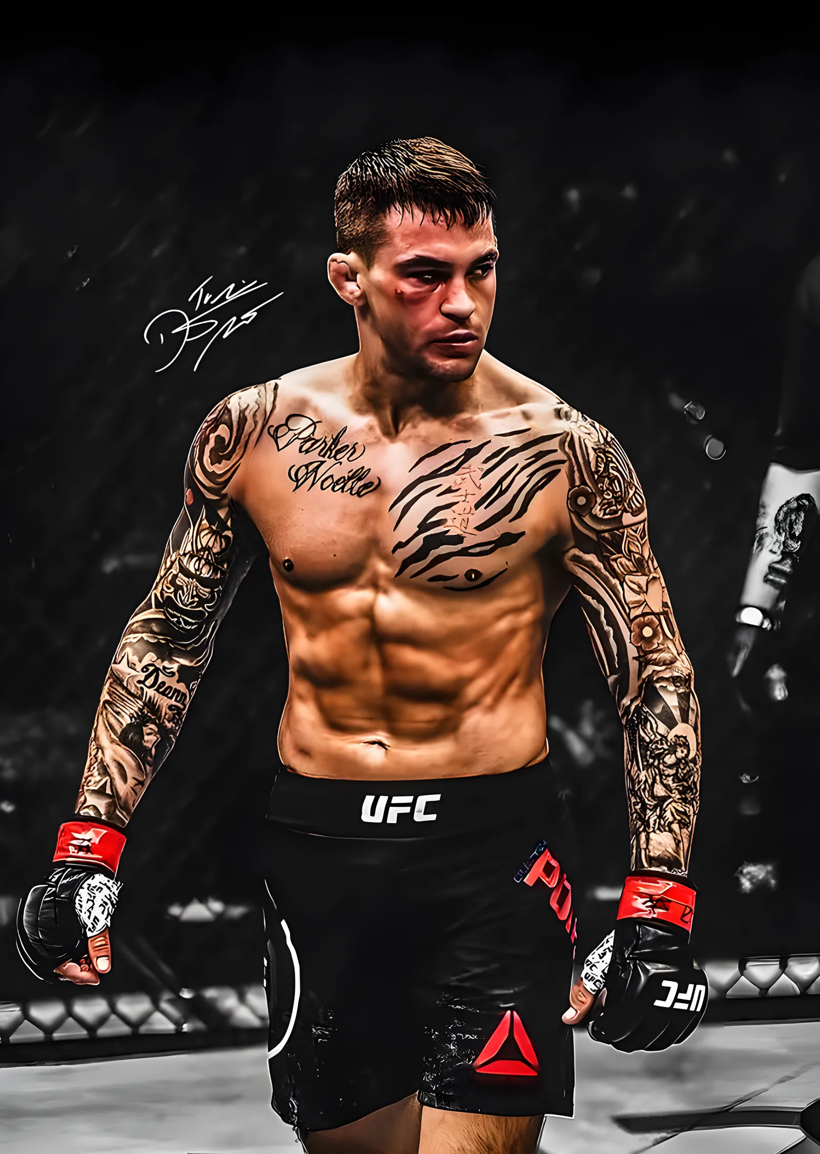 Dustin Poirier metal tablo