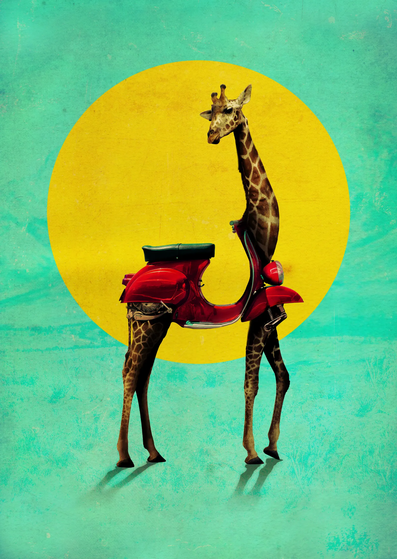 Giraffe Scooter metal tablo