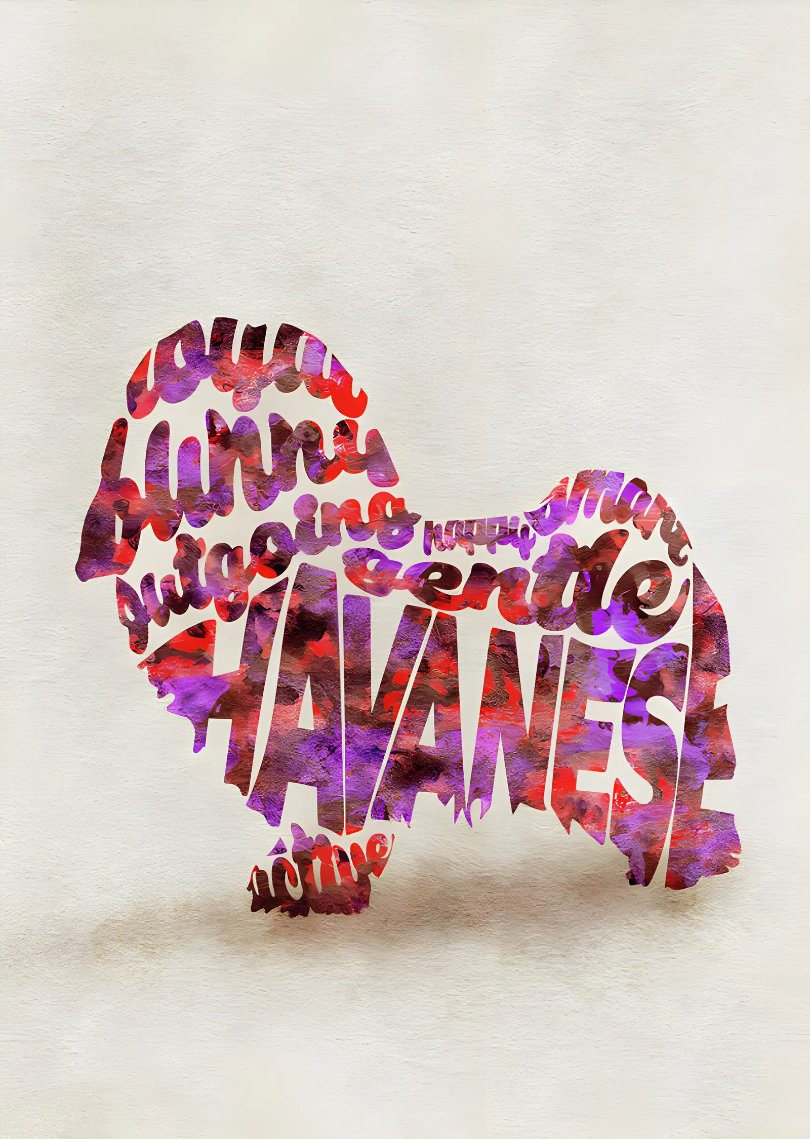 Havanese - Tipografi metal tablo