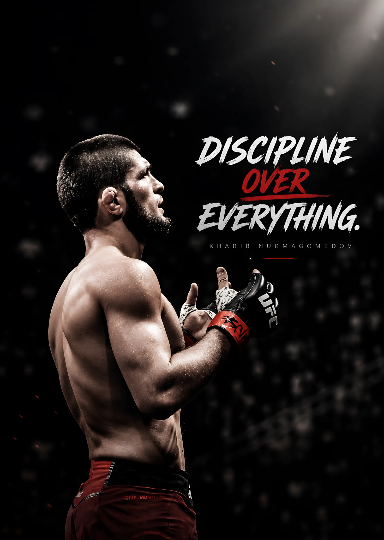 Khabib Nurmagomedov: Discipline Over Everything metal tablo