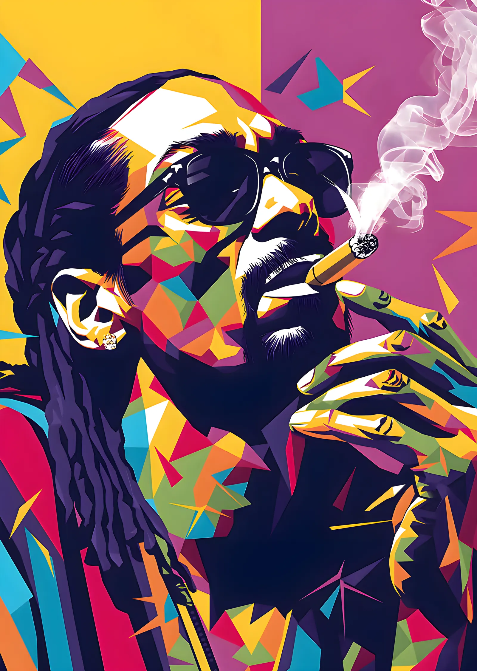 Snoop Dogg - Renk Bloklu Duman Portresi metal tablo
