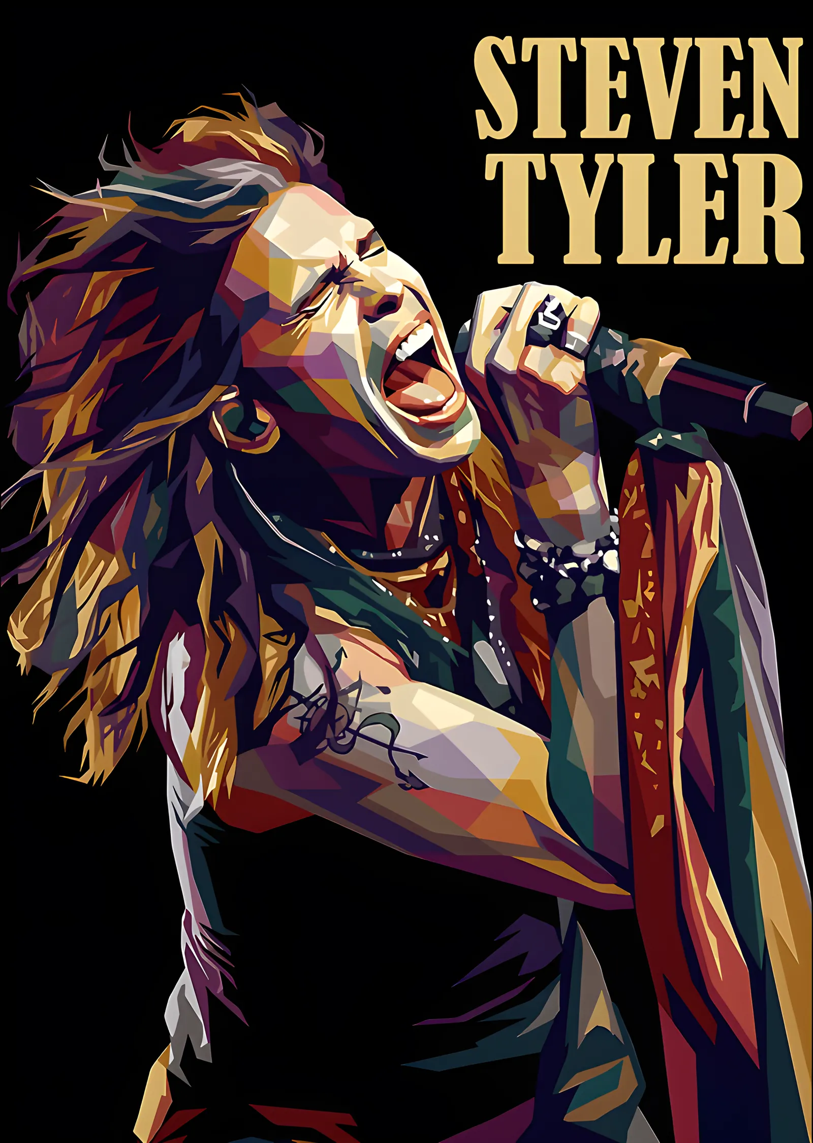 Steven Tyler - Geometrik Portre metal tablo