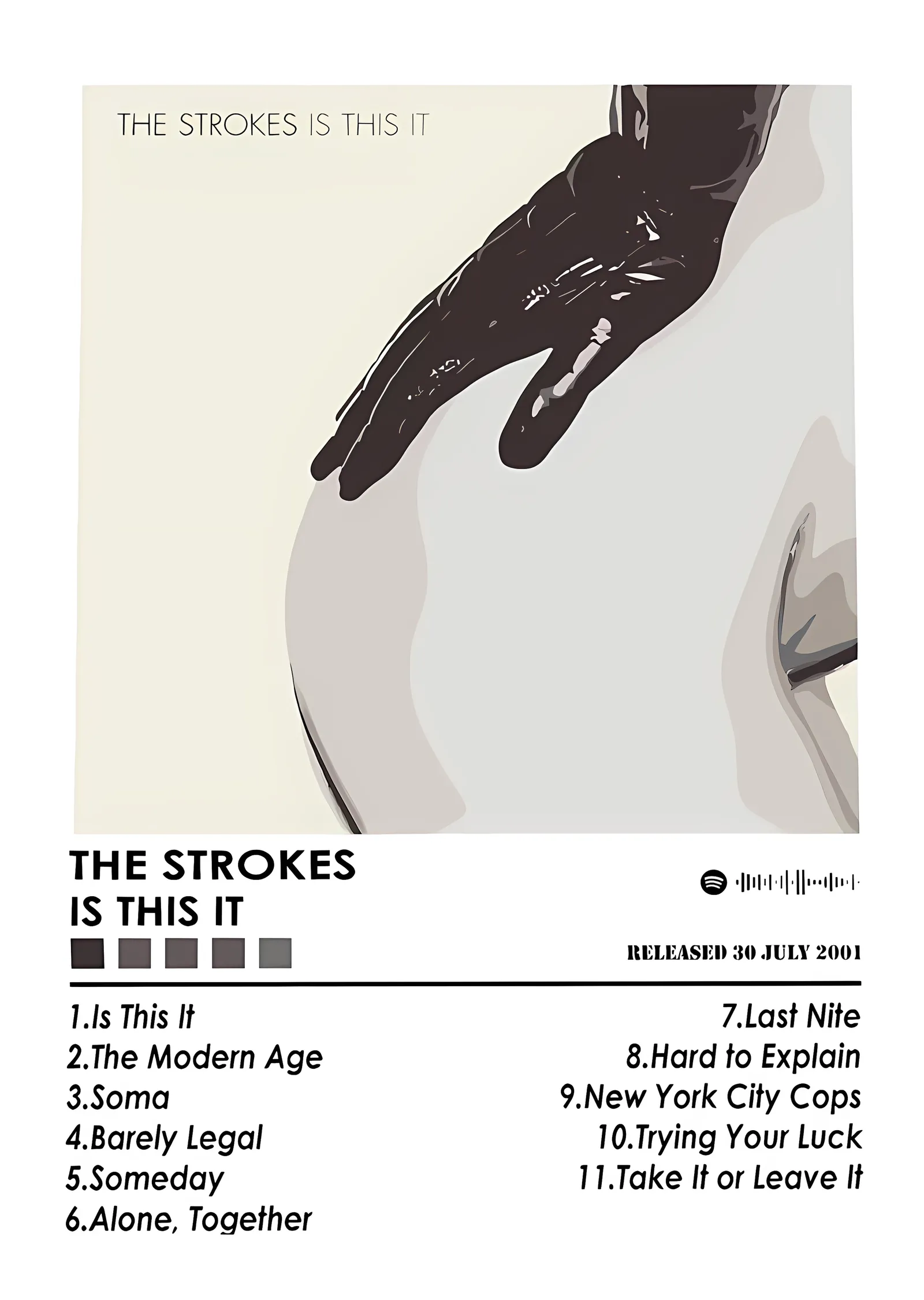 The Strokes - Is This It Beyaz Künye metal tablo