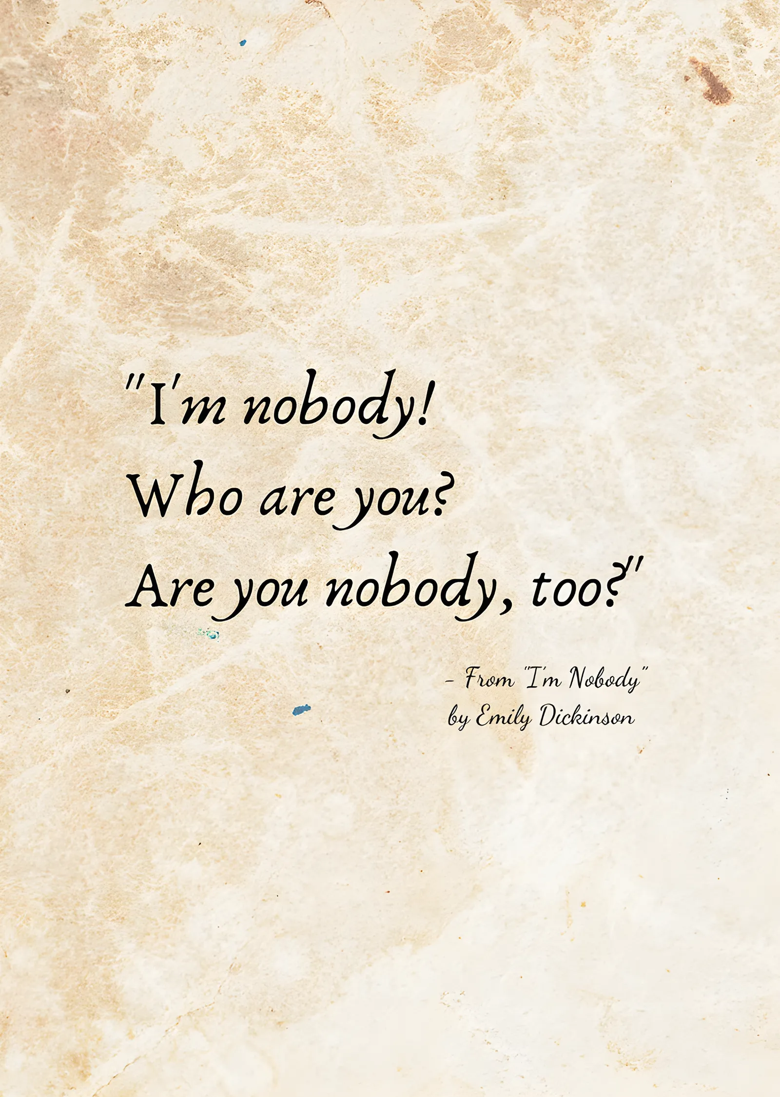 Emily Dickinson - I'm Nobody metal tablo