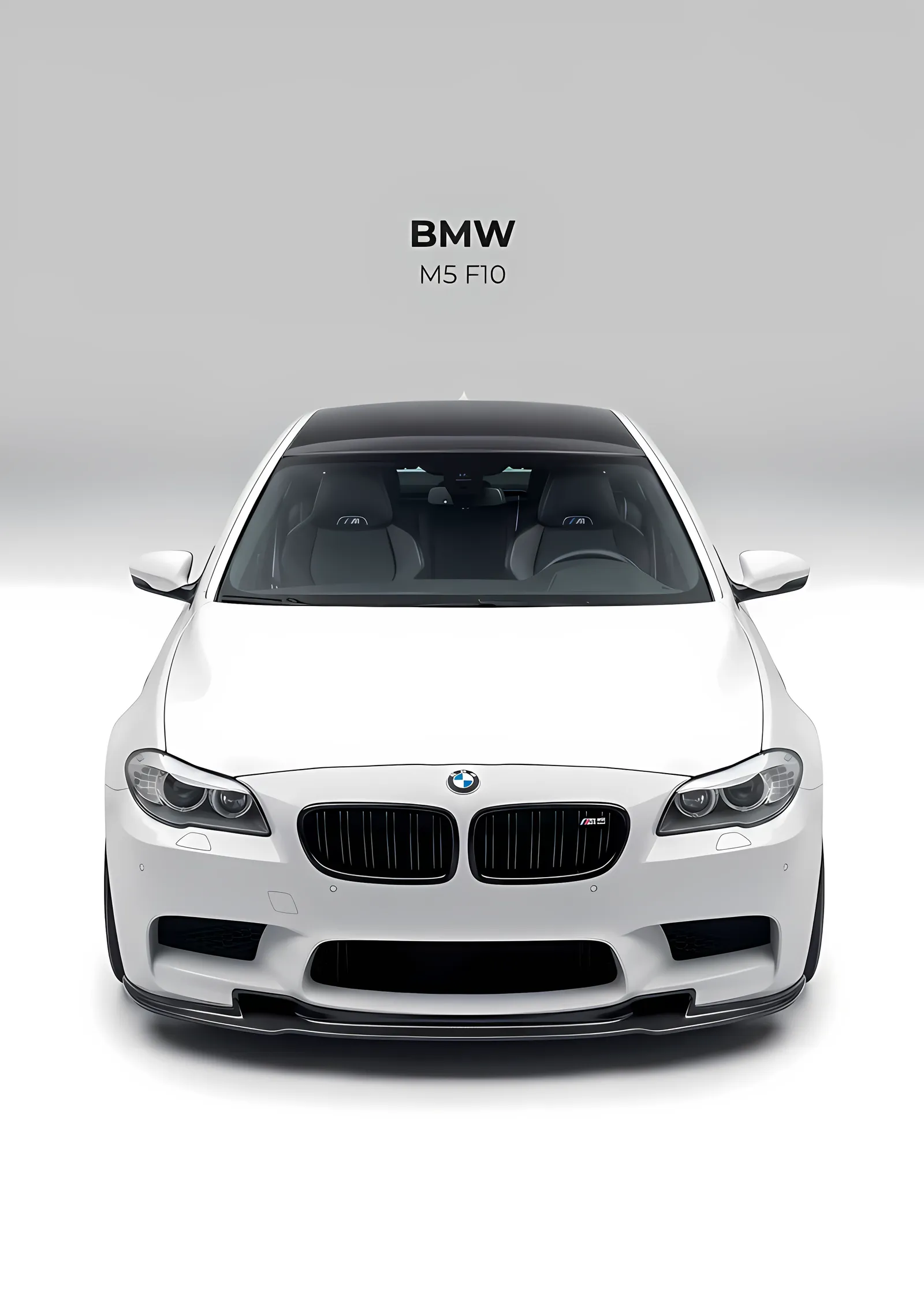 BMW M5 F10 · Beyaz Üstüne Beyaz metal tablo